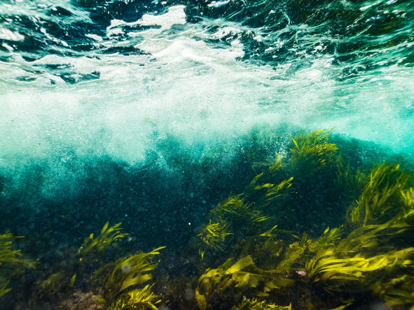 Canon PowerShot G12 sample photo. Emerald, water, sea photography