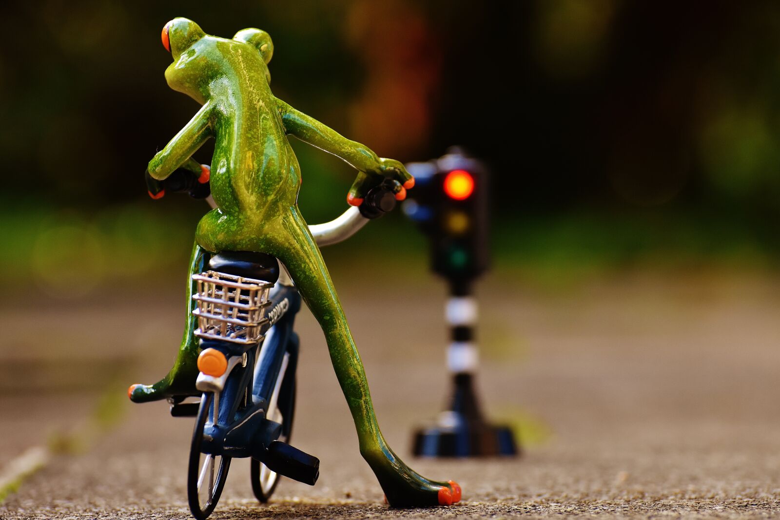 Nikon D7200 sample photo. Frog, figure, bike photography