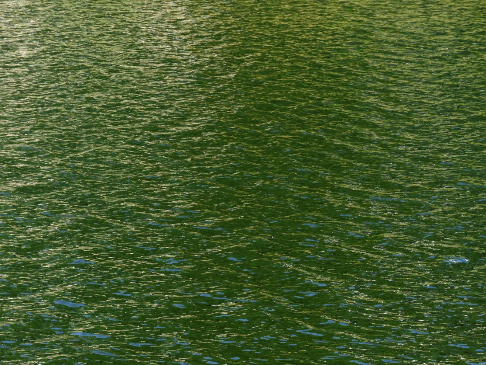Canon PowerShot SX60 HS sample photo