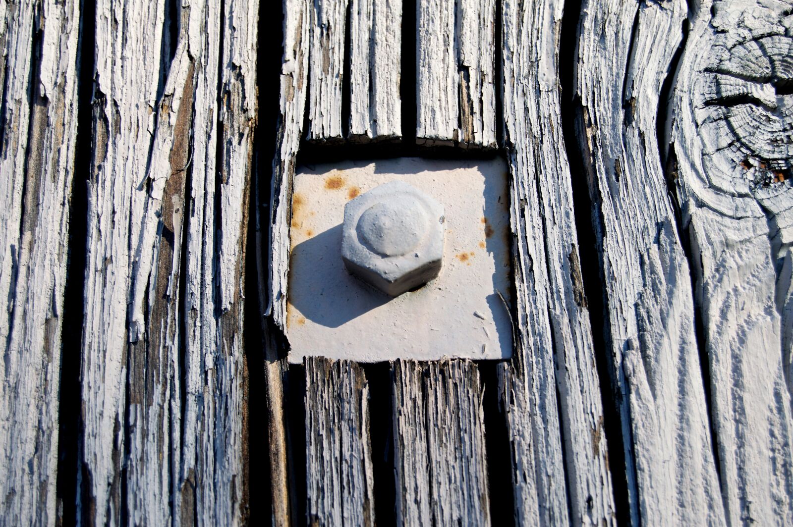 Nikon D3200 sample photo. Screw nut, axis, fixing photography