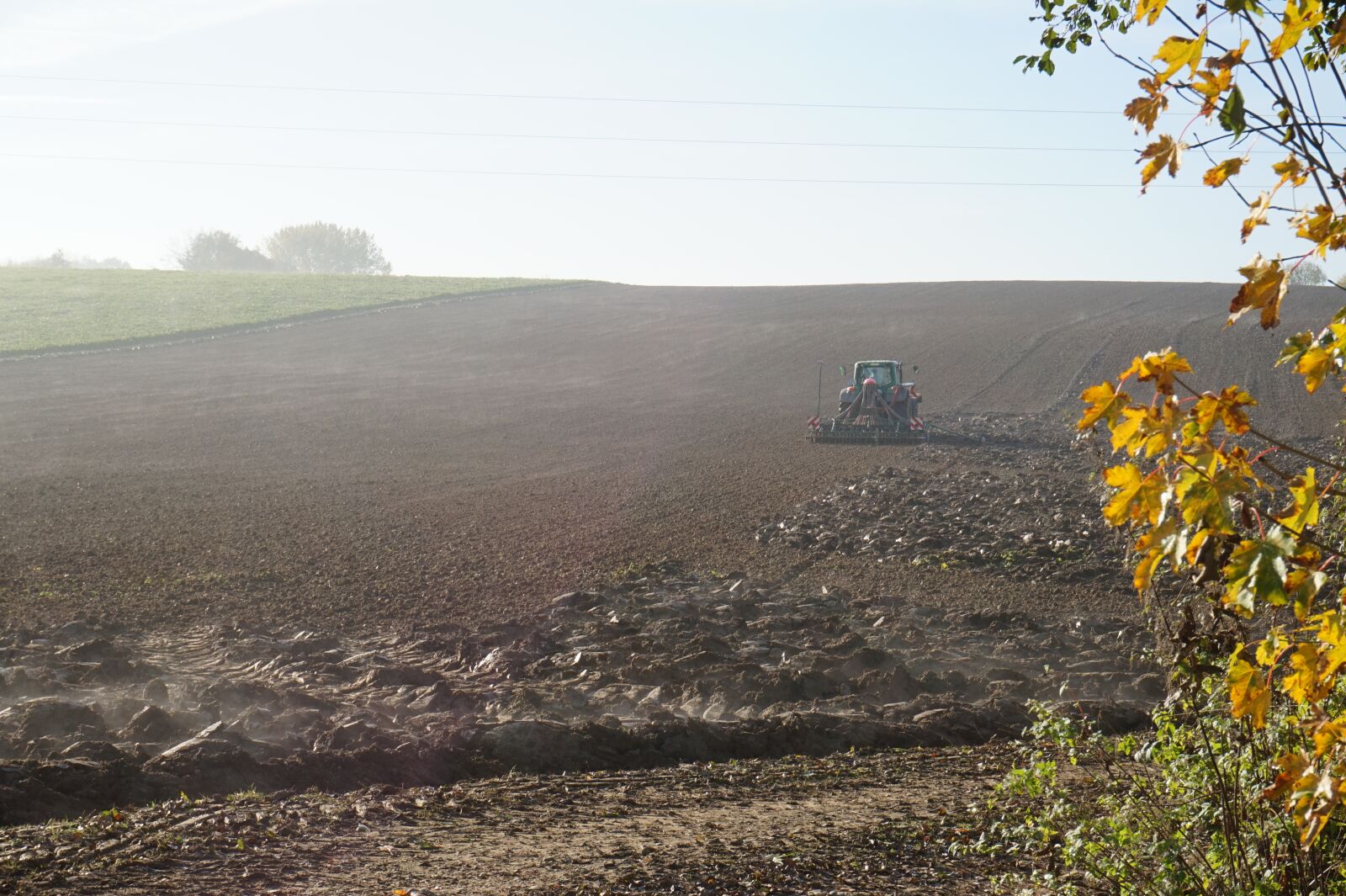 Sony Alpha a5000 (ILCE 5000) sample photo. Seed, arable, agriculture photography