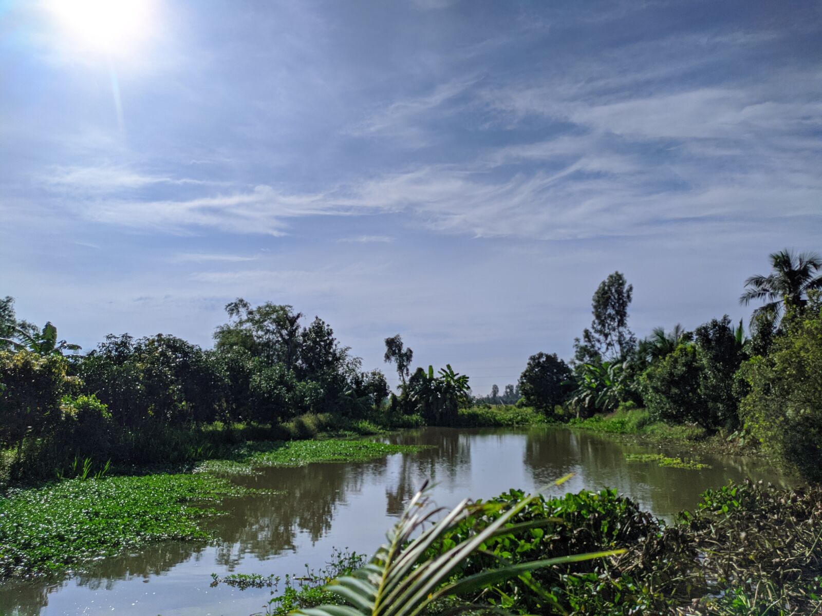 Xiaomi Redmi Note 7 sample photo. Beauty, sky, blue skies photography