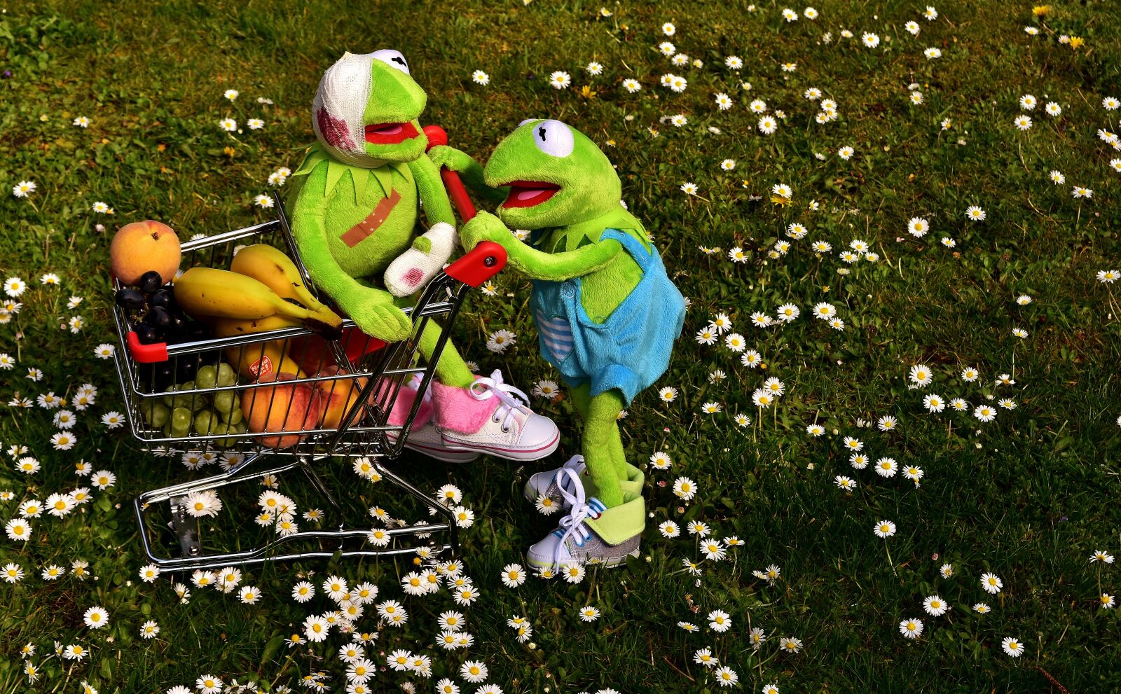 Nikon D7200 sample photo. Shopping, fruit, healthy photography