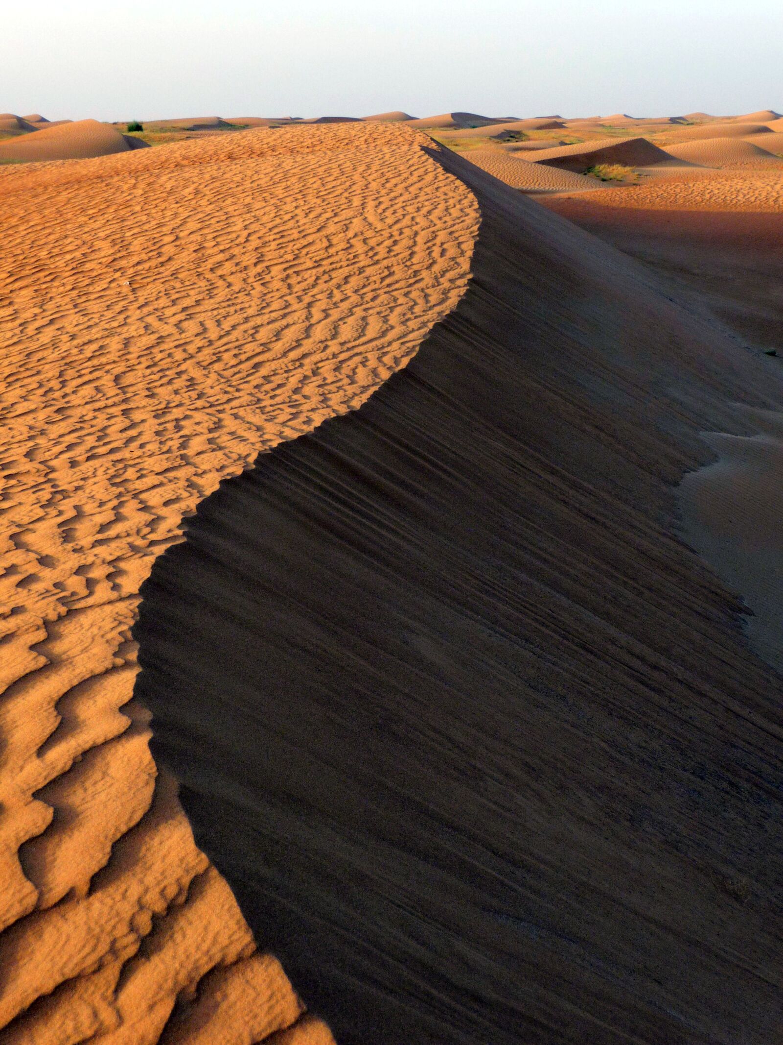 Panasonic Lumix DMC-TZ5 sample photo. Desert, dune, sand photography