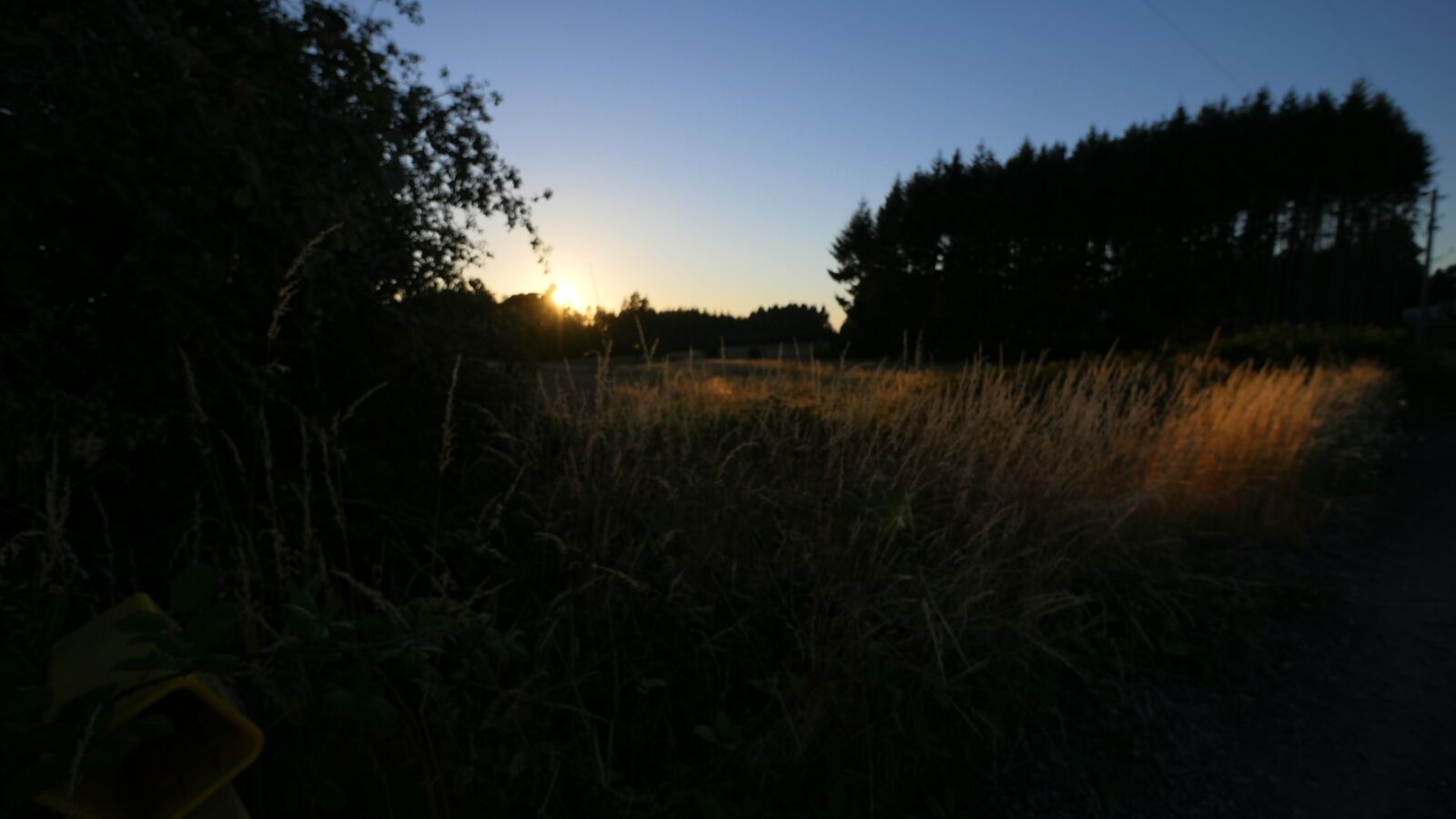 Panasonic Lumix DMC-GH4 sample photo. Field, dusk, dark photography