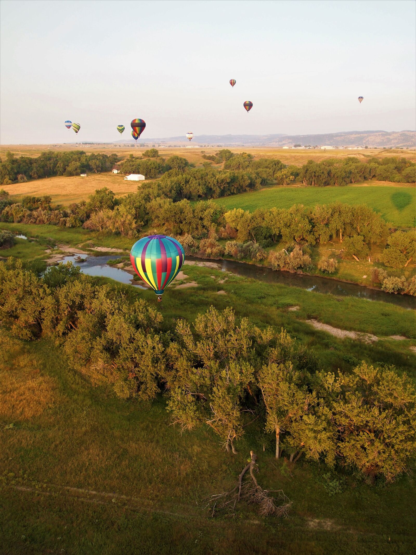 Olympus PEN E-PL1 sample photo. Hot air balloons, flying photography