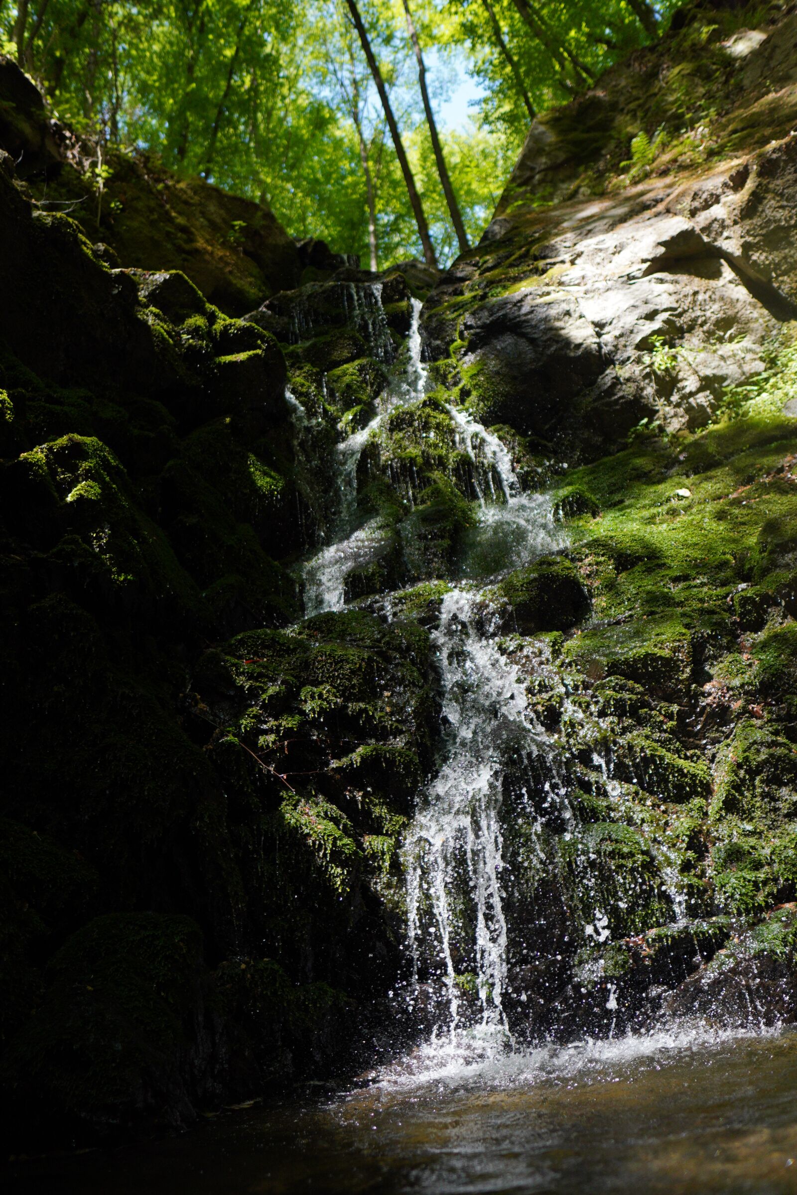 Sony a6400 + Sigma 16mm F1.4 DC DN | C sample photo. Waterfall, forest, river photography