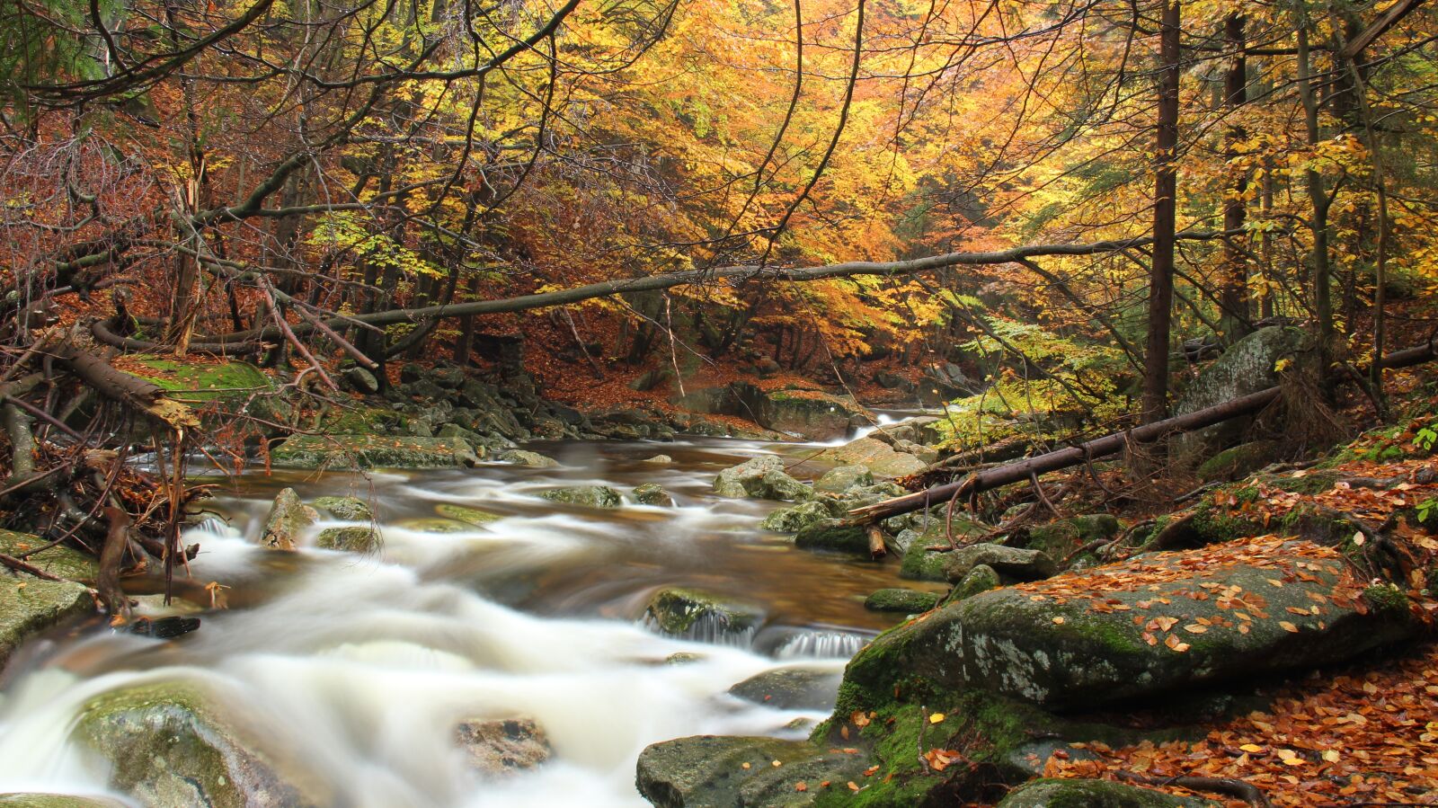 Canon EOS 600D (Rebel EOS T3i / EOS Kiss X5) sample photo. Mumlava, river, nature photography