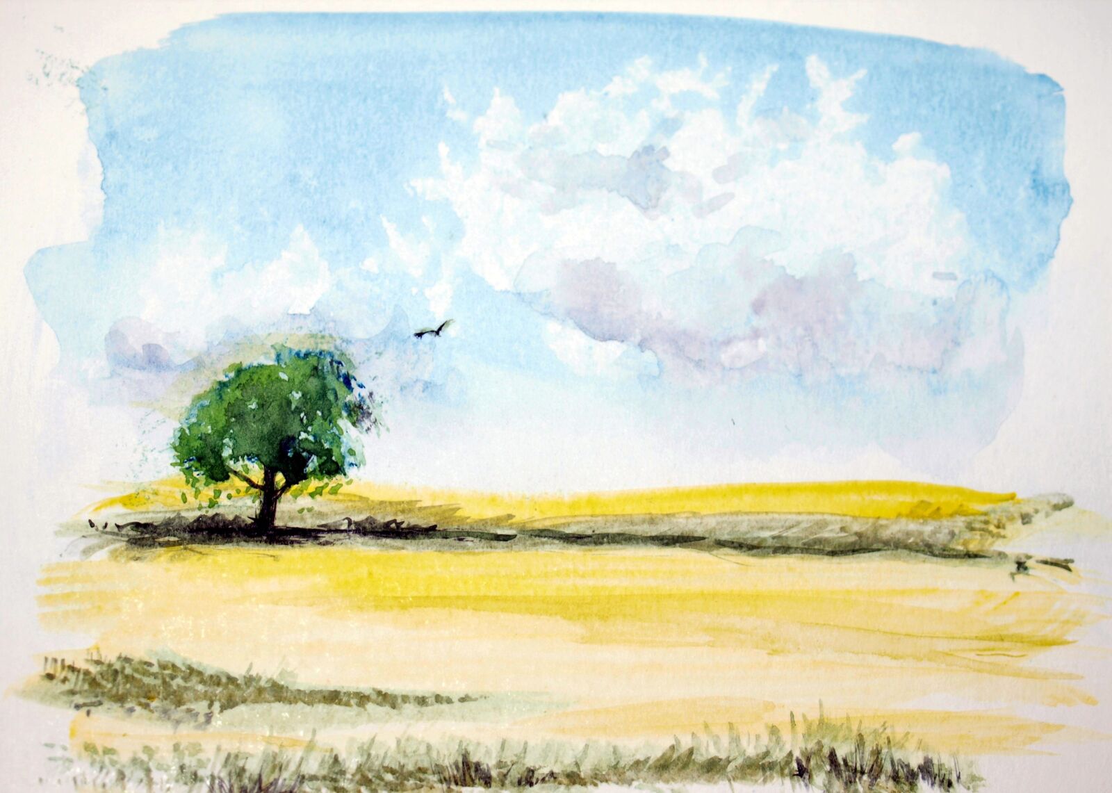 Olympus E-520 (EVOLT E-520) sample photo. Watercolour, landscape, card photography