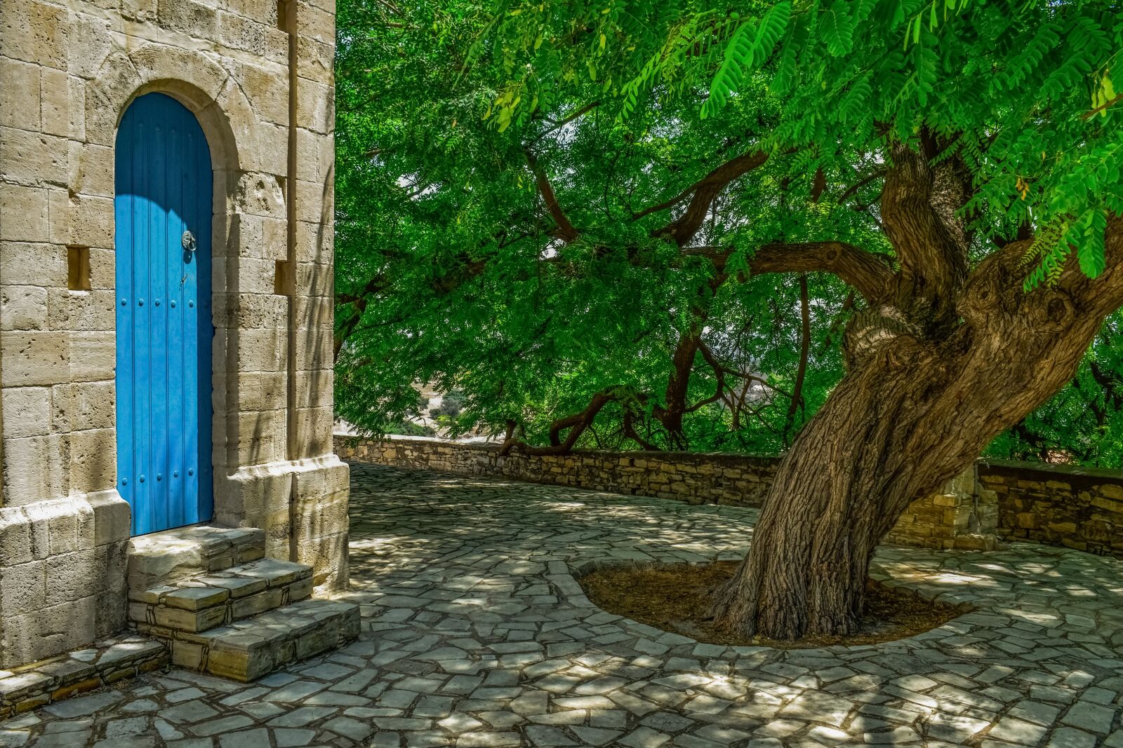 Nikon D3300 sample photo. Slate, square, tree photography