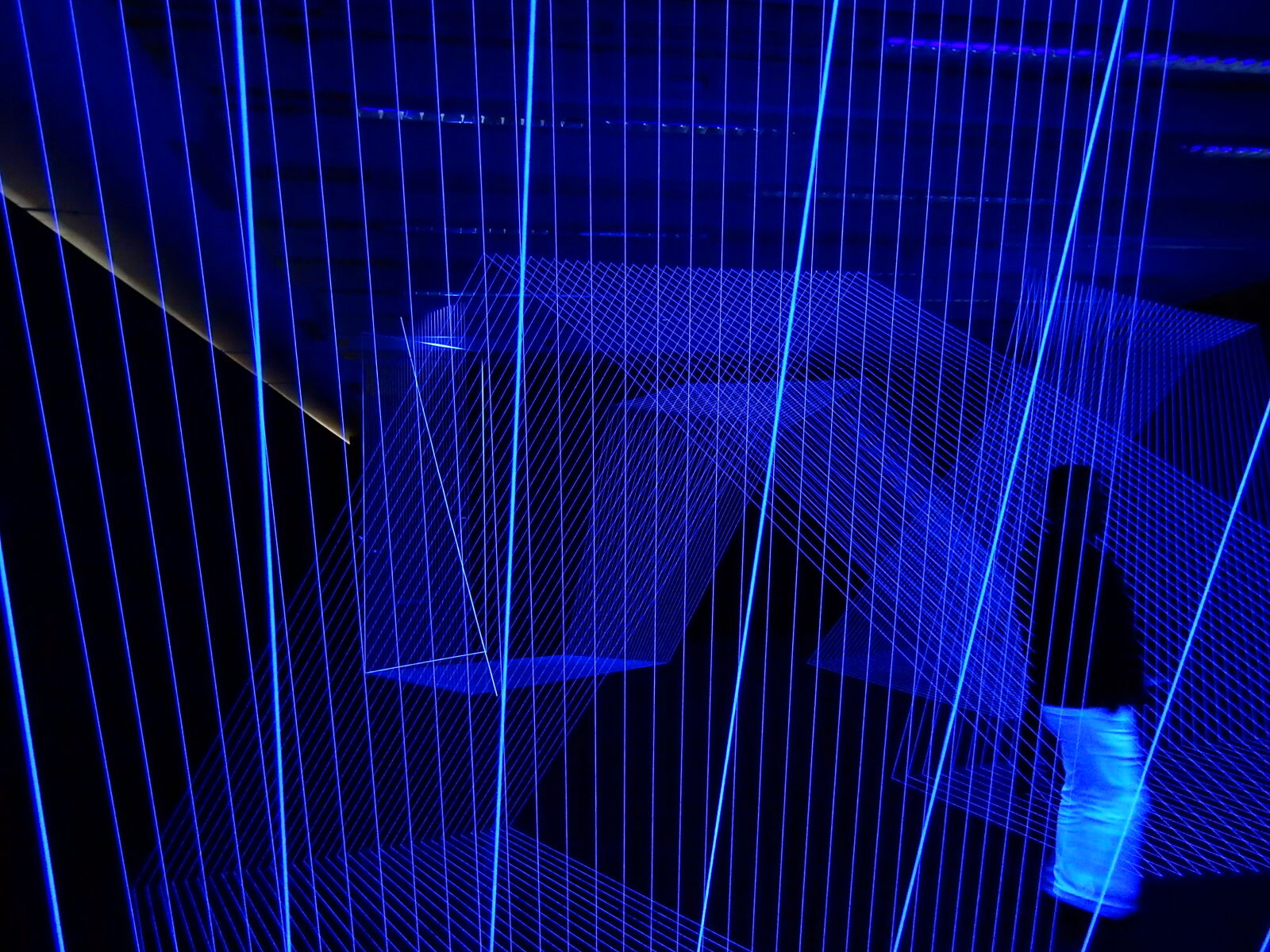 Nikon Coolpix S9900 sample photo. Art, blue, light photography