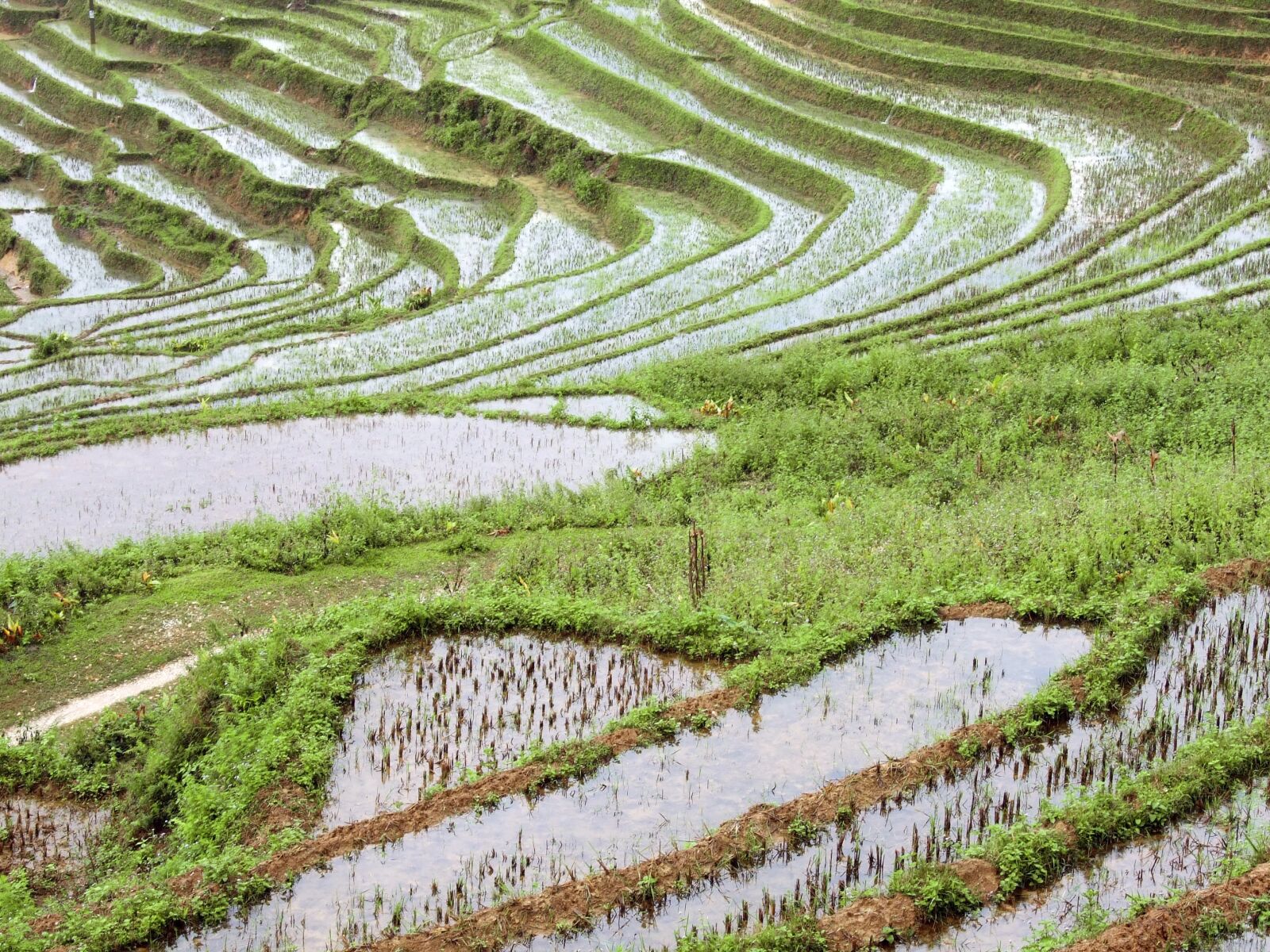 Fujifilm FinePix S6500fd sample photo. Vietnam, sapa, asia photography
