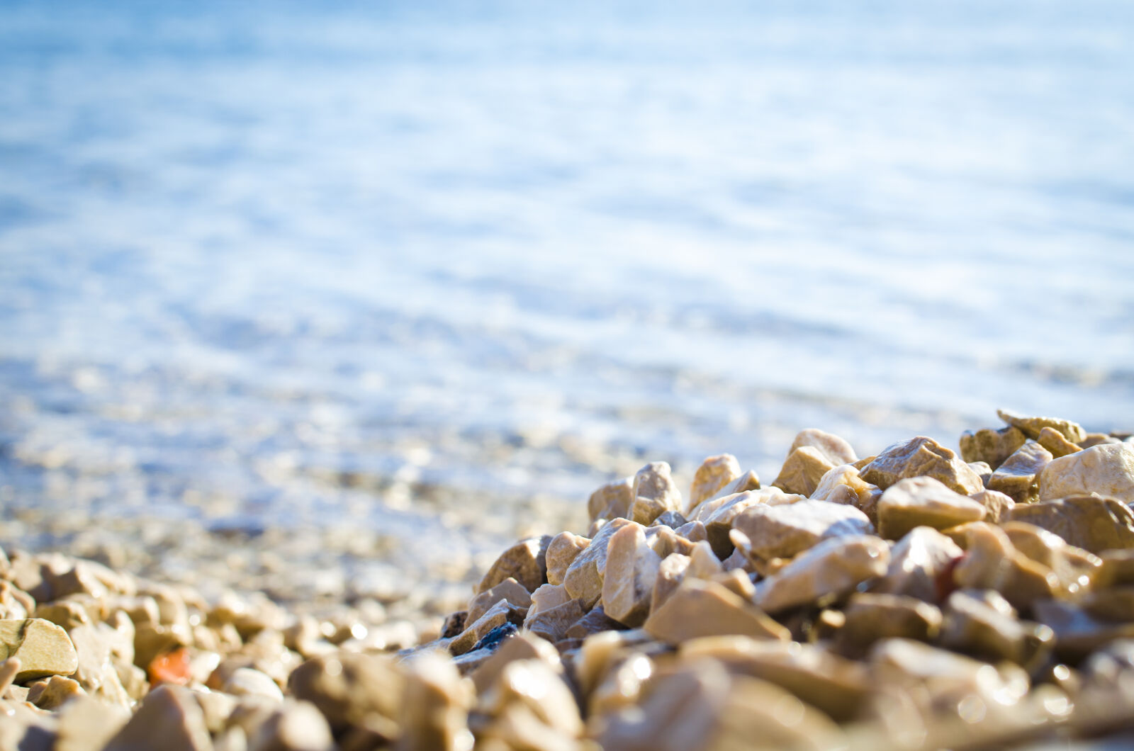Nikon D5100 + Nikon AF-S DX Nikkor 35mm F1.8G sample photo. Blur, close, up, outdoors photography