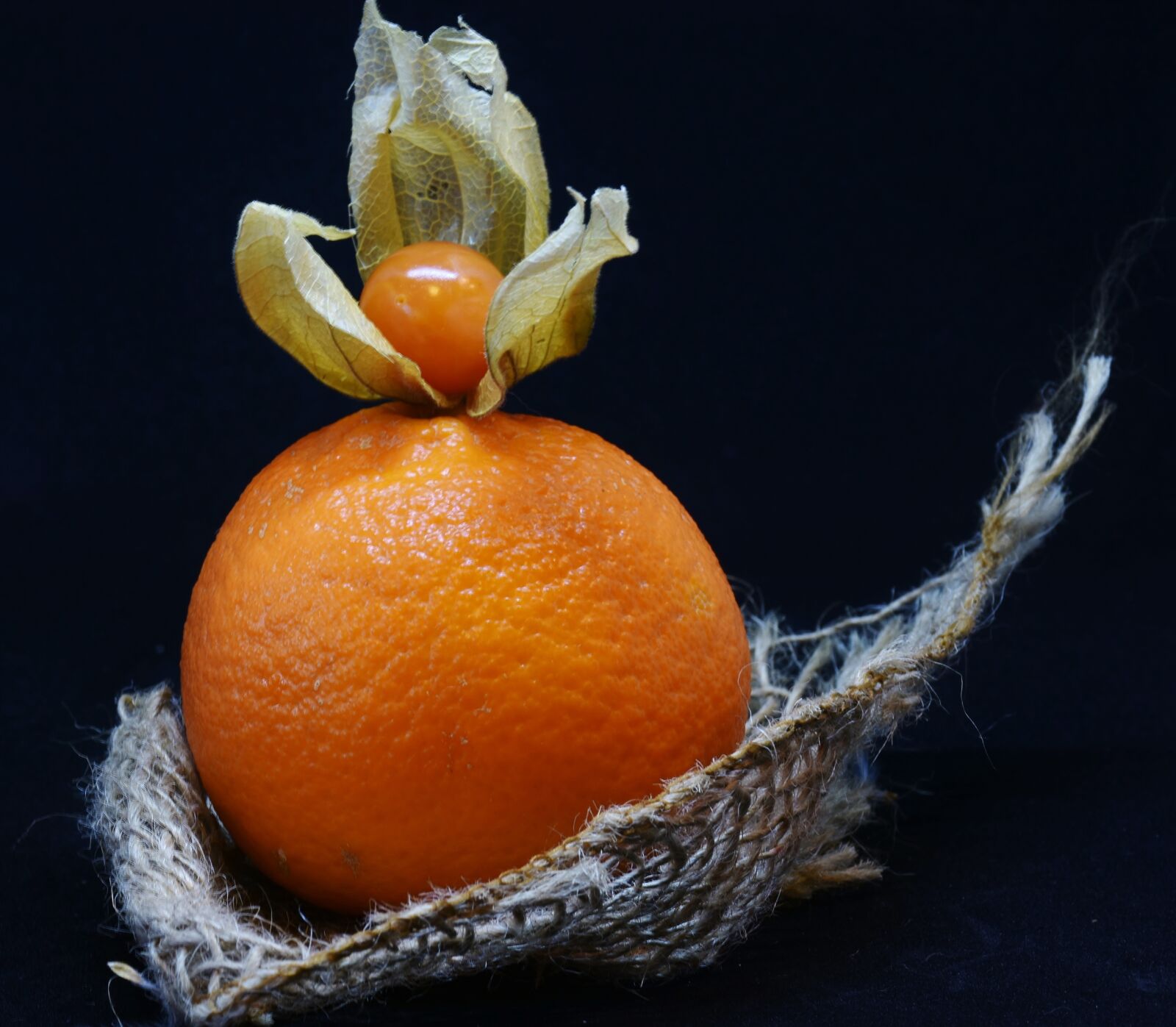Nikon D7200 sample photo. Orange, physalis, fruit photography