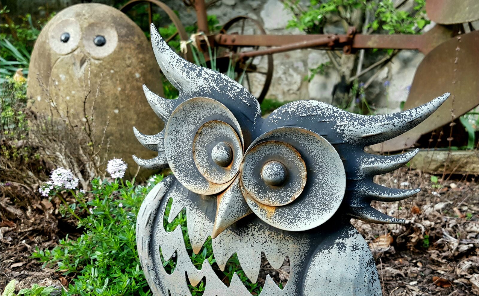 Samsung Galaxy S7 sample photo. Owl, bird, figure photography