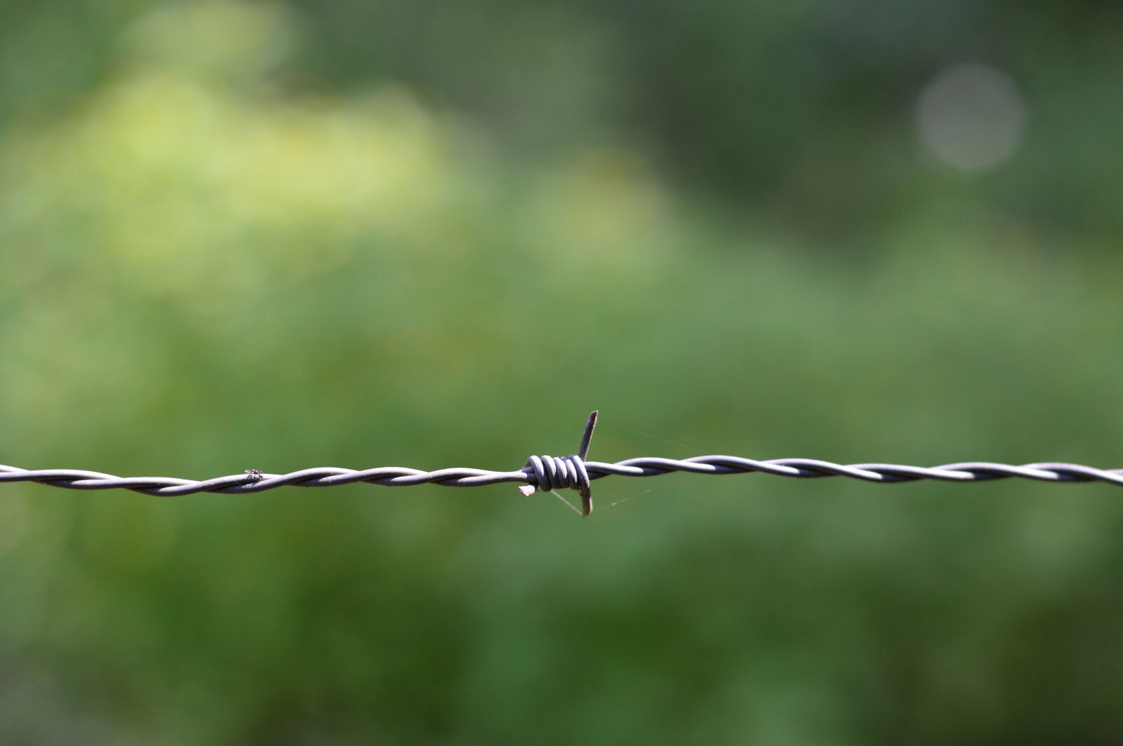 Nikon D3200 sample photo. Barbed, wire, barrier, danger photography