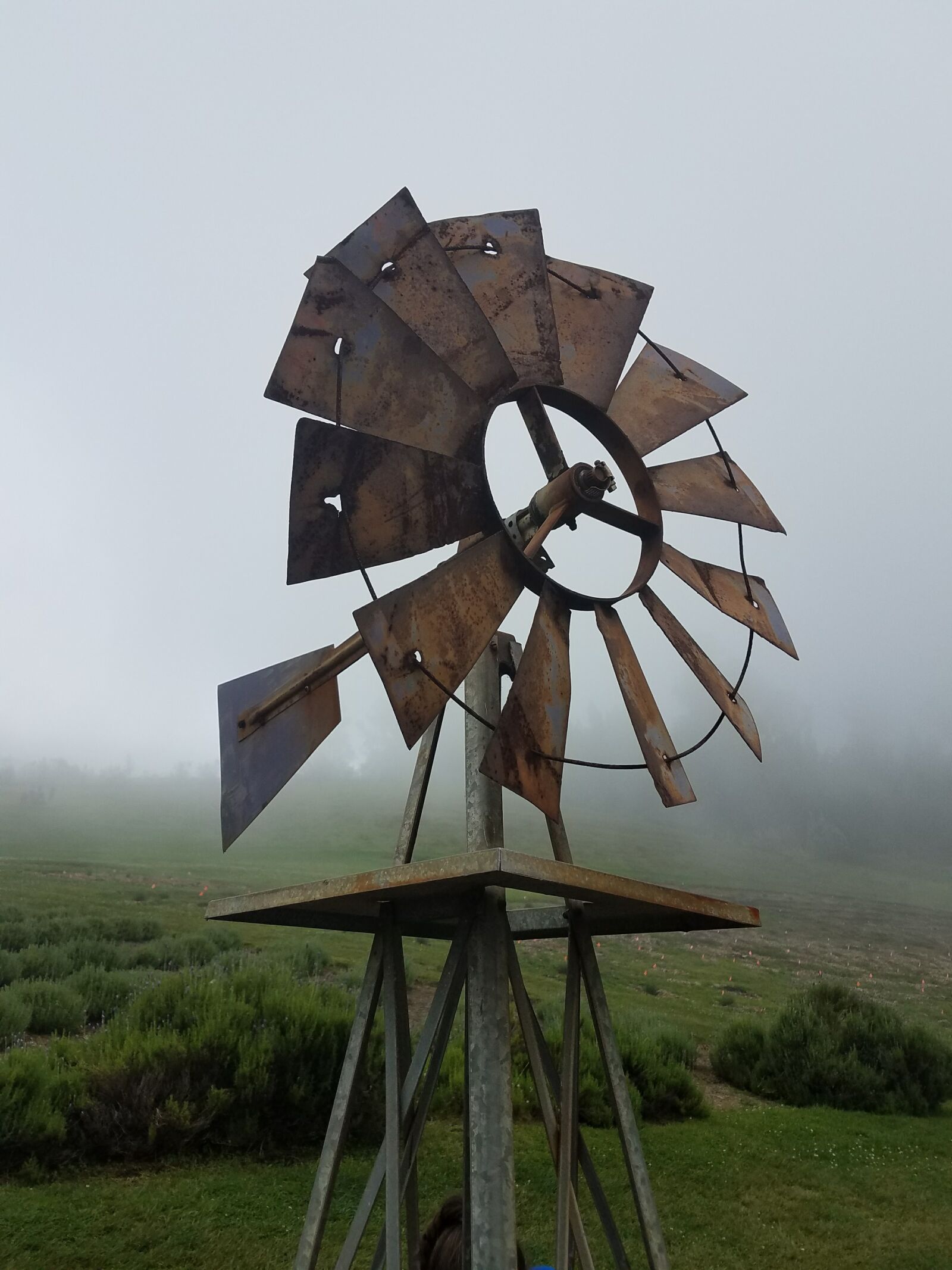 Samsung Galaxy S7 Edge sample photo. Fog, windmill photography