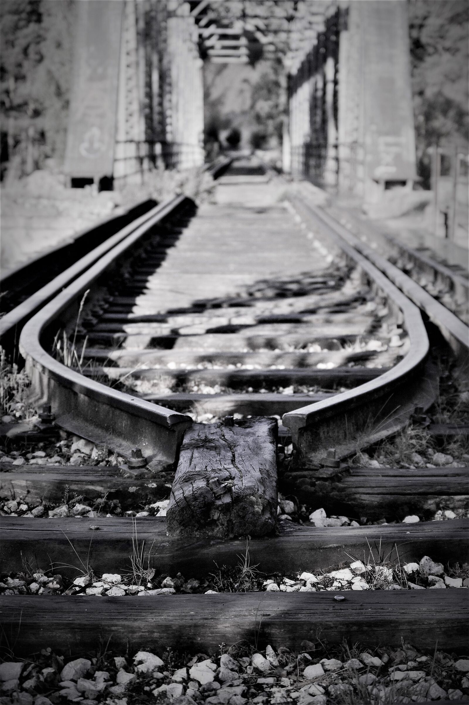 Nikon D3200 sample photo. Pathways, train, trains photography