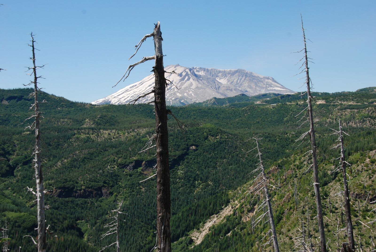 Nikon D80 sample photo. America, washington state, mount photography