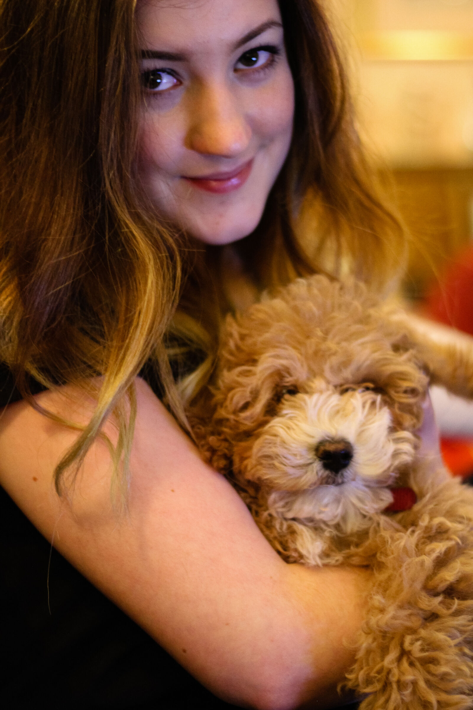 Canon EOS 7D + Canon EF 50mm F1.8 STM sample photo. Portrait, puppy photography