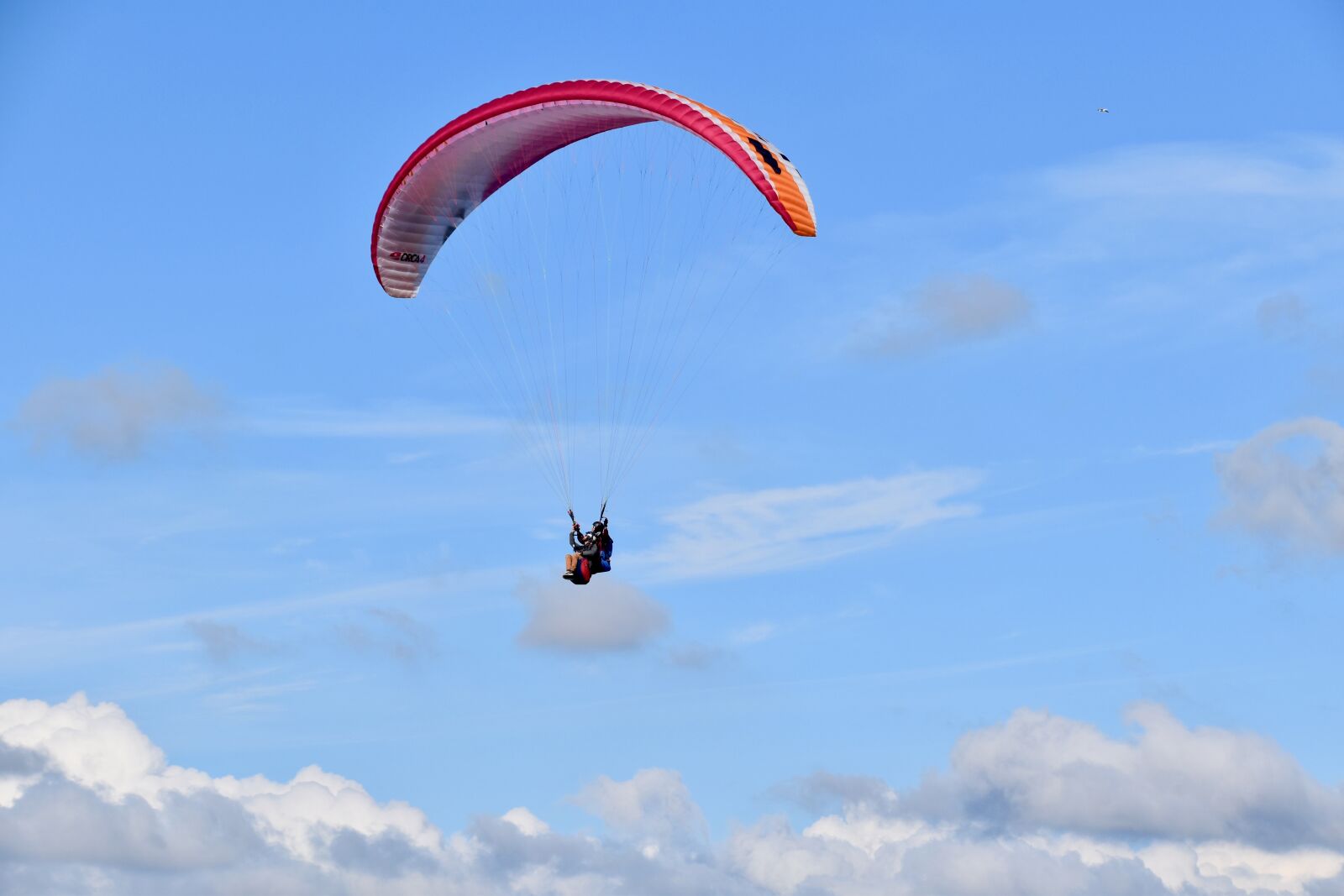 Nikon D5600 sample photo. Paragliding, tandem paragliding, paragliders photography
