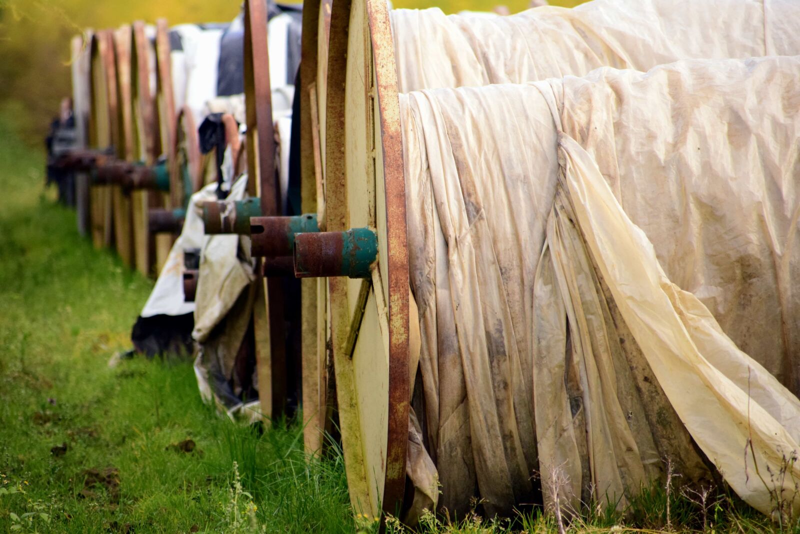 Nikon D3300 sample photo. Woven, wood, grass, coil photography