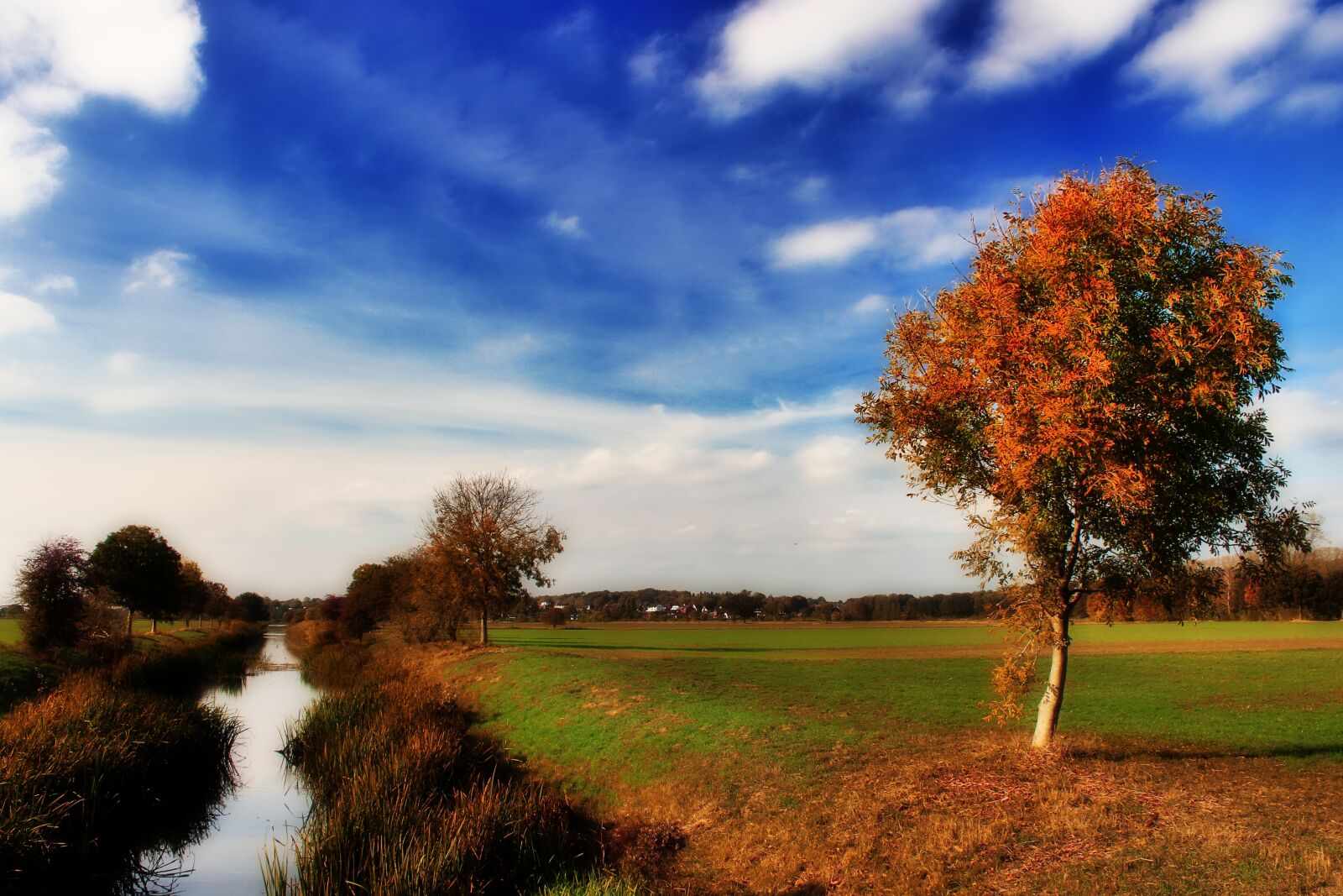 Canon EOS 1300D (EOS Rebel T6 / EOS Kiss X80) sample photo. Autumn, tree, river photography