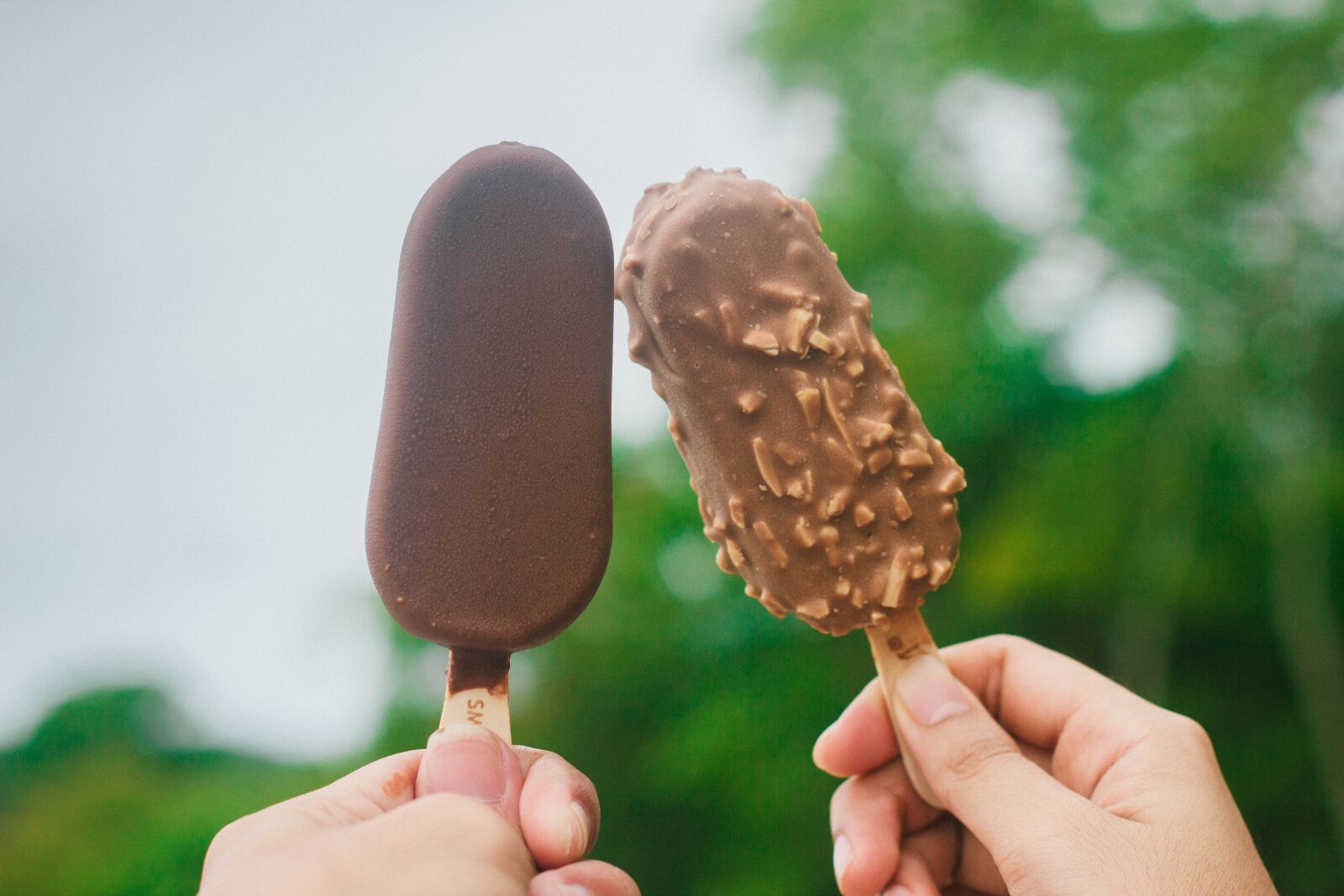 Canon EOS 550D (EOS Rebel T2i / EOS Kiss X4) + Canon EF 50mm F1.8 II sample photo. Popsicle, ice cream, nature photography