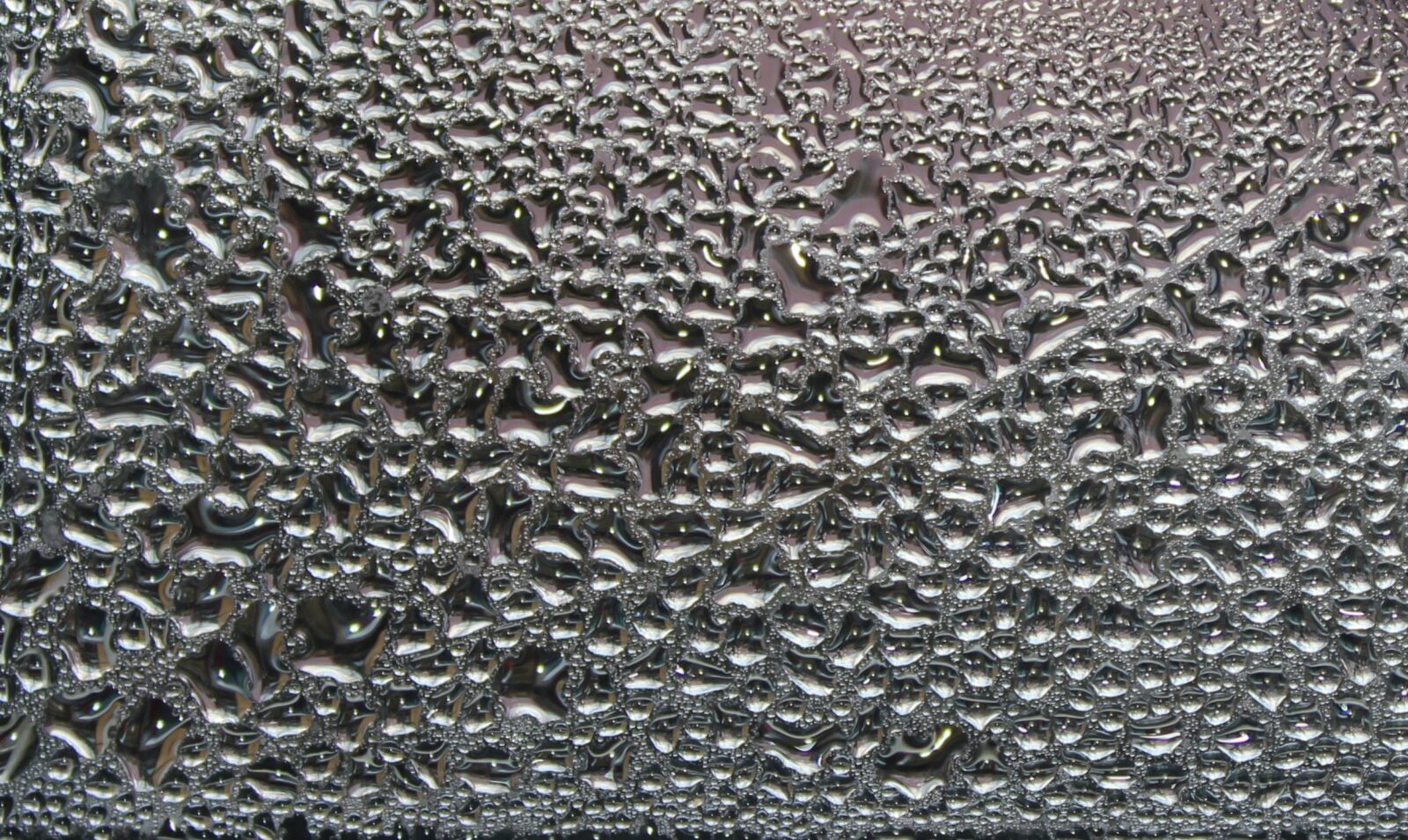 Canon EOS 1200D (EOS Rebel T5 / EOS Kiss X70 / EOS Hi) sample photo. Droplets, pane, drops of photography