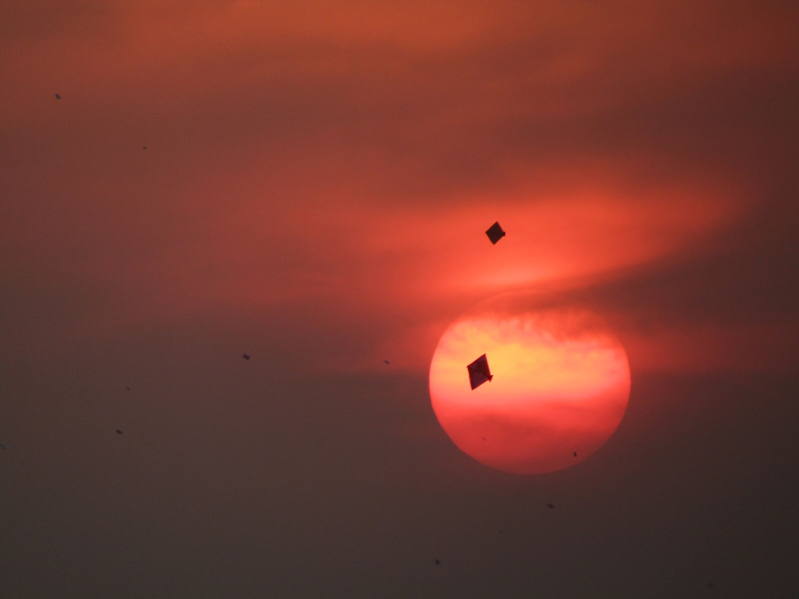 Canon PowerShot SX410 IS sample photo. Kite, sunset photography