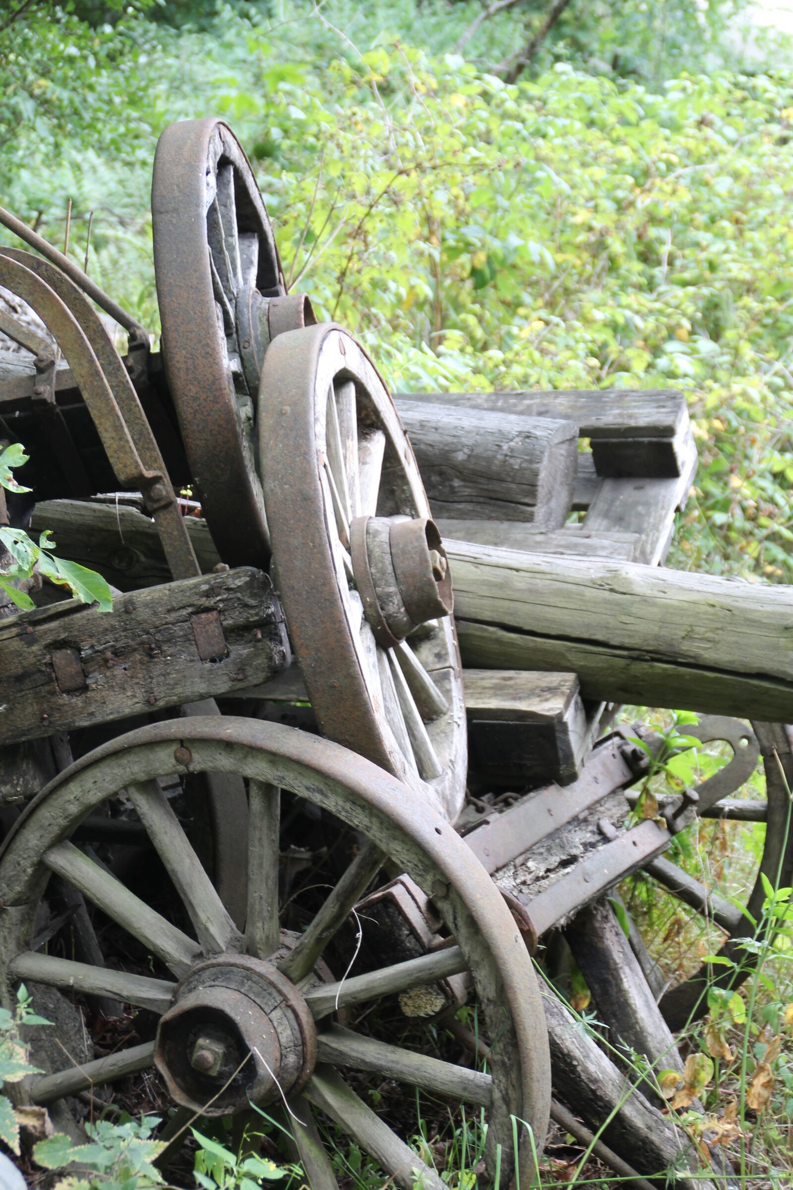 Canon EOS 1100D (EOS Rebel T3 / EOS Kiss X50) sample photo. Cartwheels, wheel, wooden wheel photography