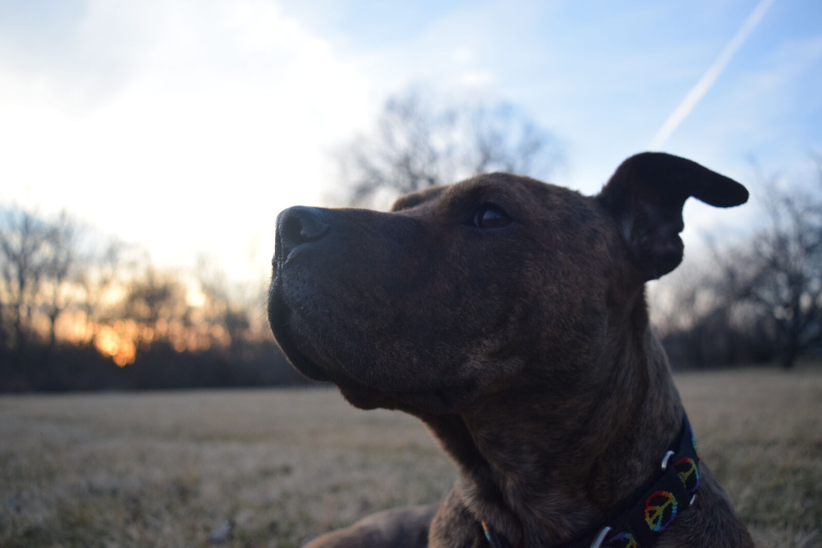 Nikon D3300 sample photo