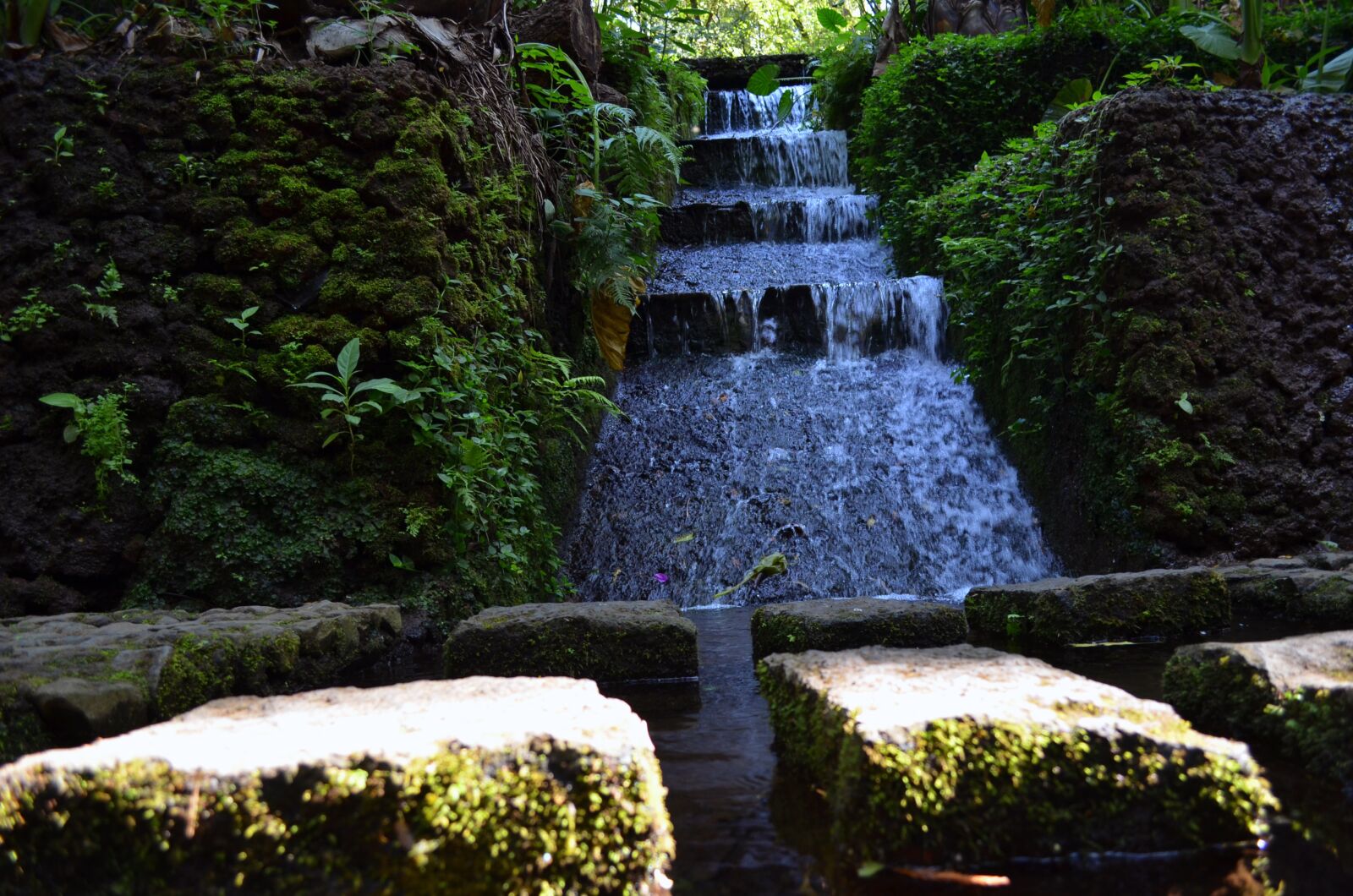 Nikon D5100 sample photo. Fuente, agua, michoacan photography