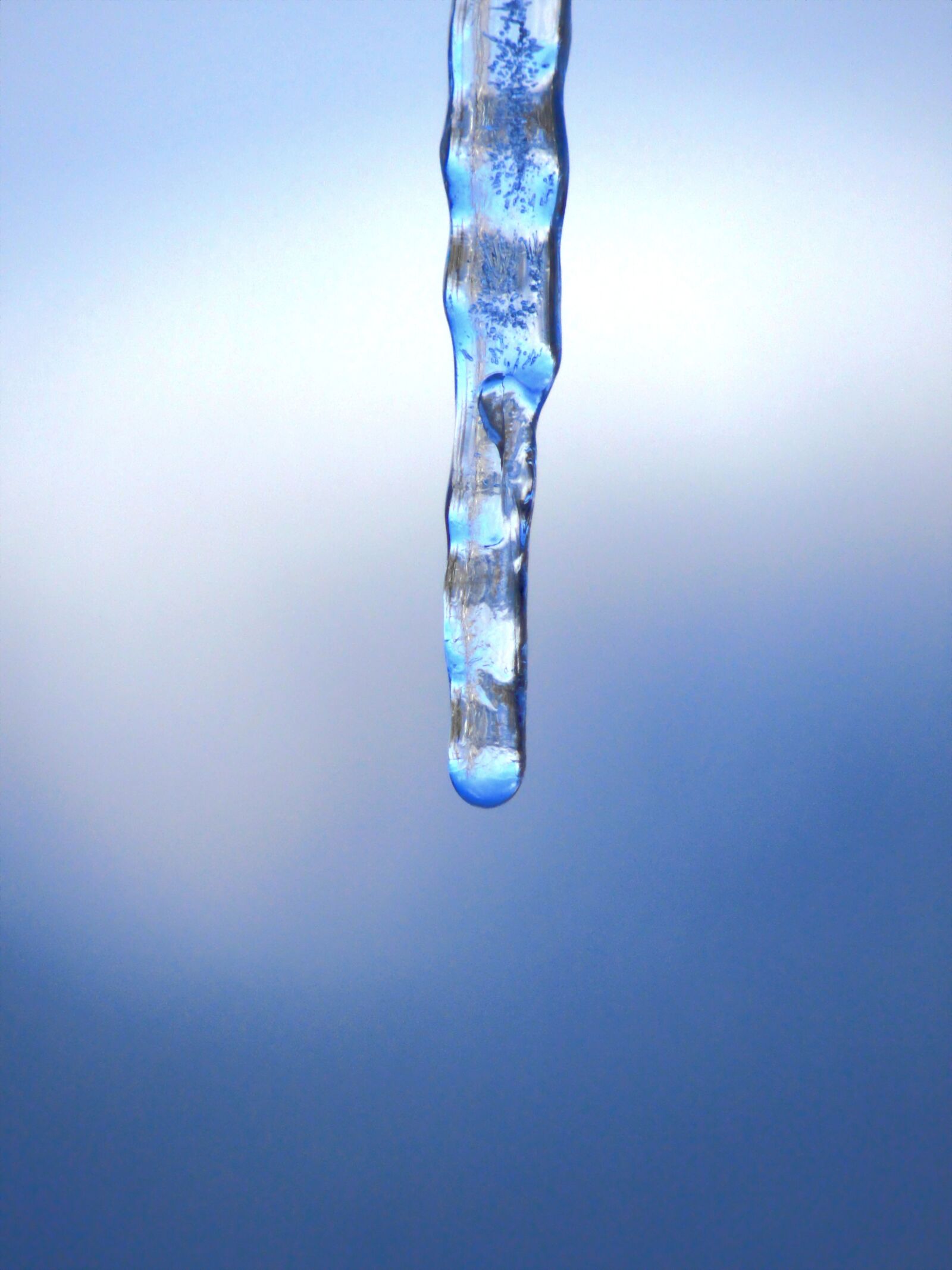 Canon PowerShot SX530 HS sample photo. Icicle, drip, dripping photography