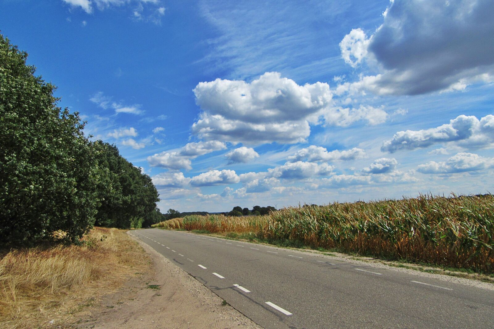 Canon PowerShot SX610 HS sample photo. Clouds, heat wave, dry photography