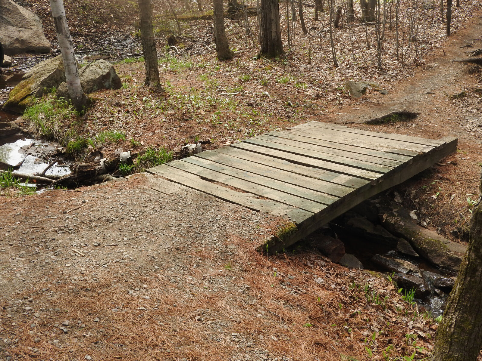 Nikon Coolpix P610 sample photo. Bridge, forest, little, shawinigan photography