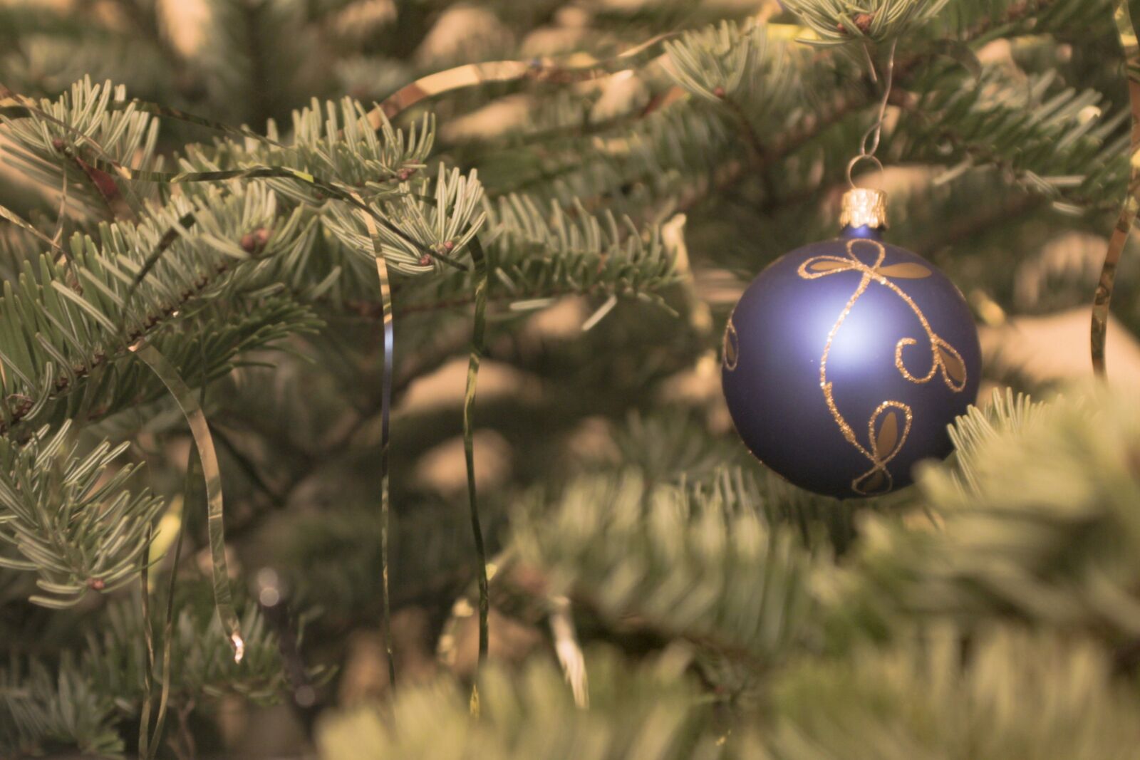 Canon EOS 650D (EOS Rebel T4i / EOS Kiss X6i) sample photo. Christmas, christmas tree, christmas photography