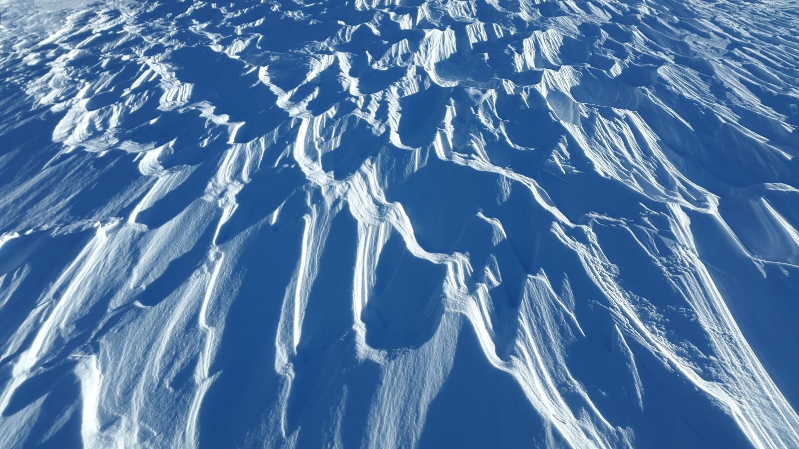 Samsung Galaxy Alpha sample photo. Wind gangeln, snow, winter photography