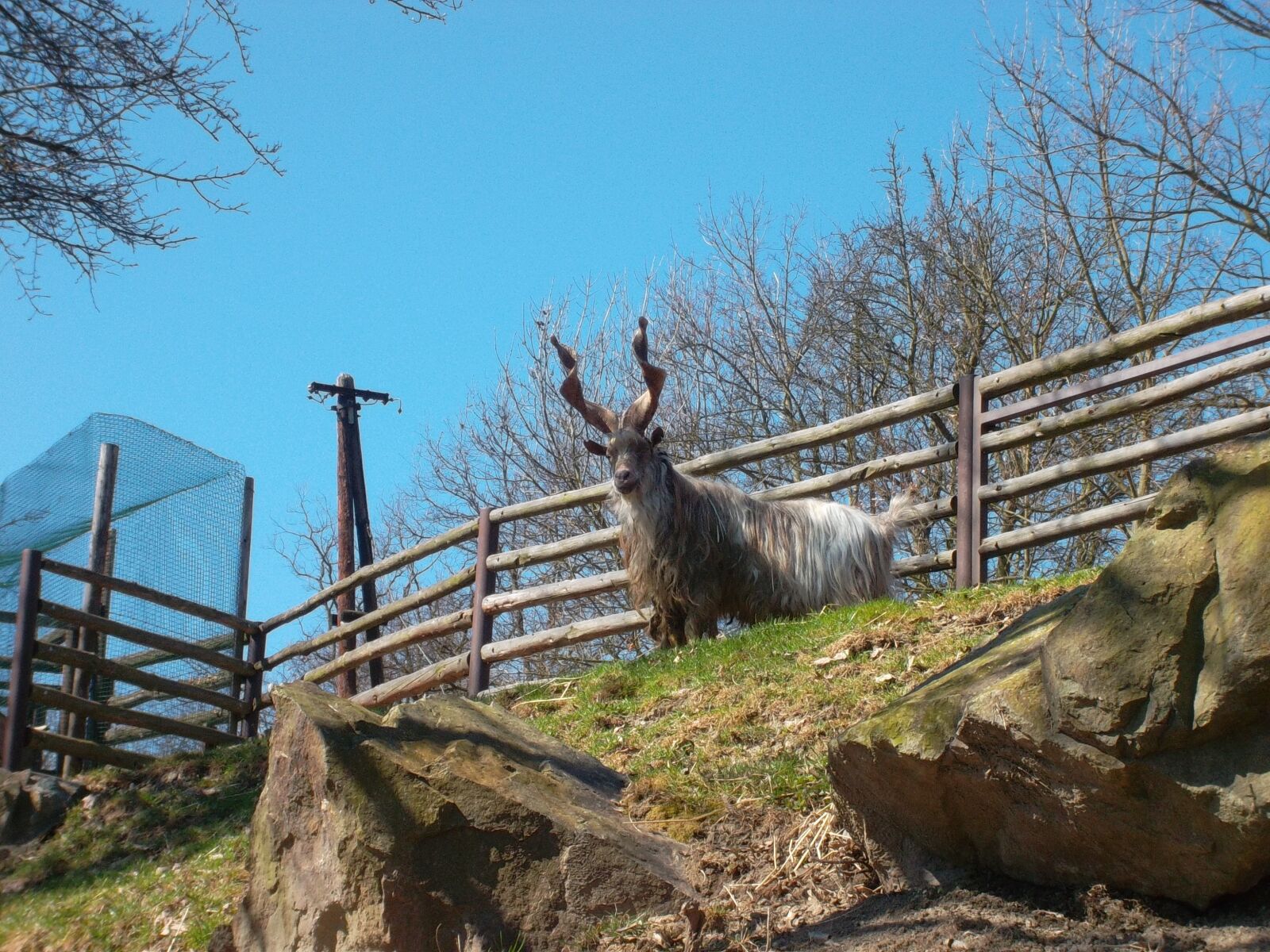 Samsung ST30 sample photo. Zoo, plzen, pilsen zoo photography
