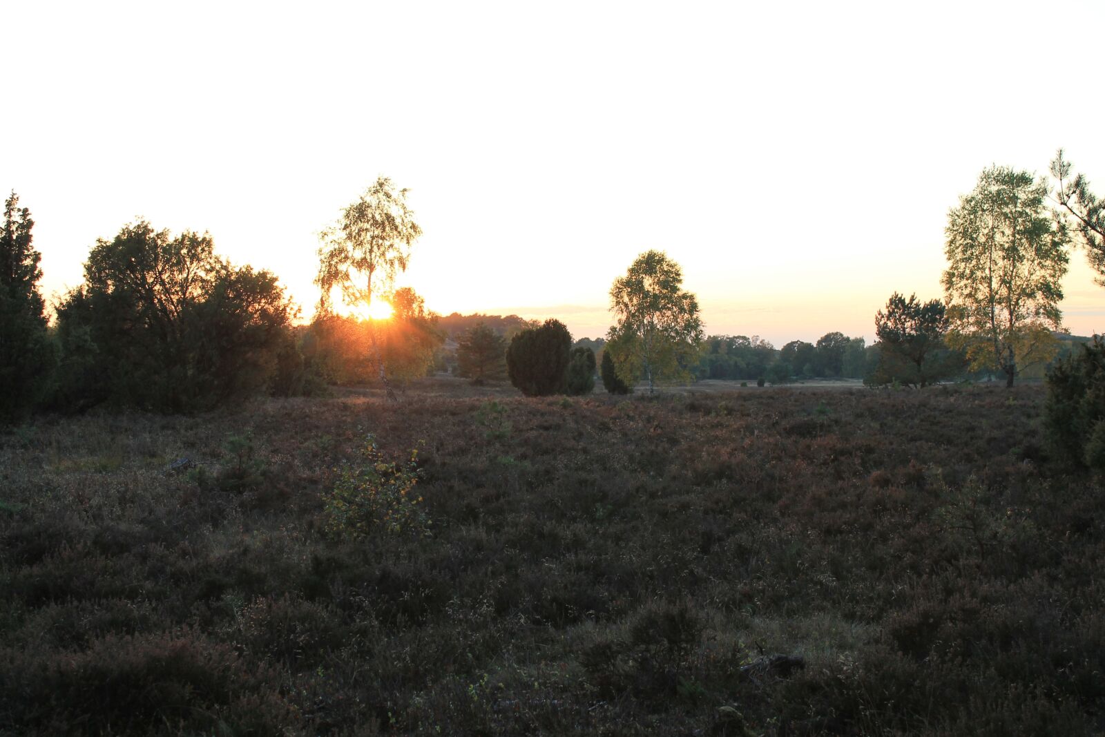 Canon EOS 1100D (EOS Rebel T3 / EOS Kiss X50) sample photo. Lüneburg-heide, landscape, sunset photography