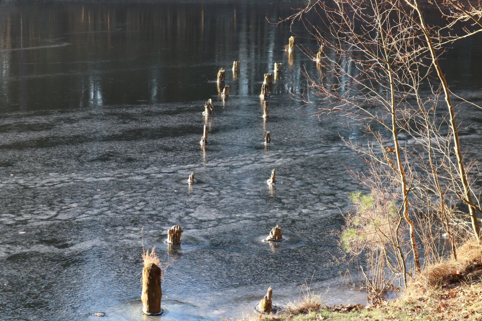 Canon EOS M50 (EOS Kiss M) sample photo. Lake, bridge, winter photography