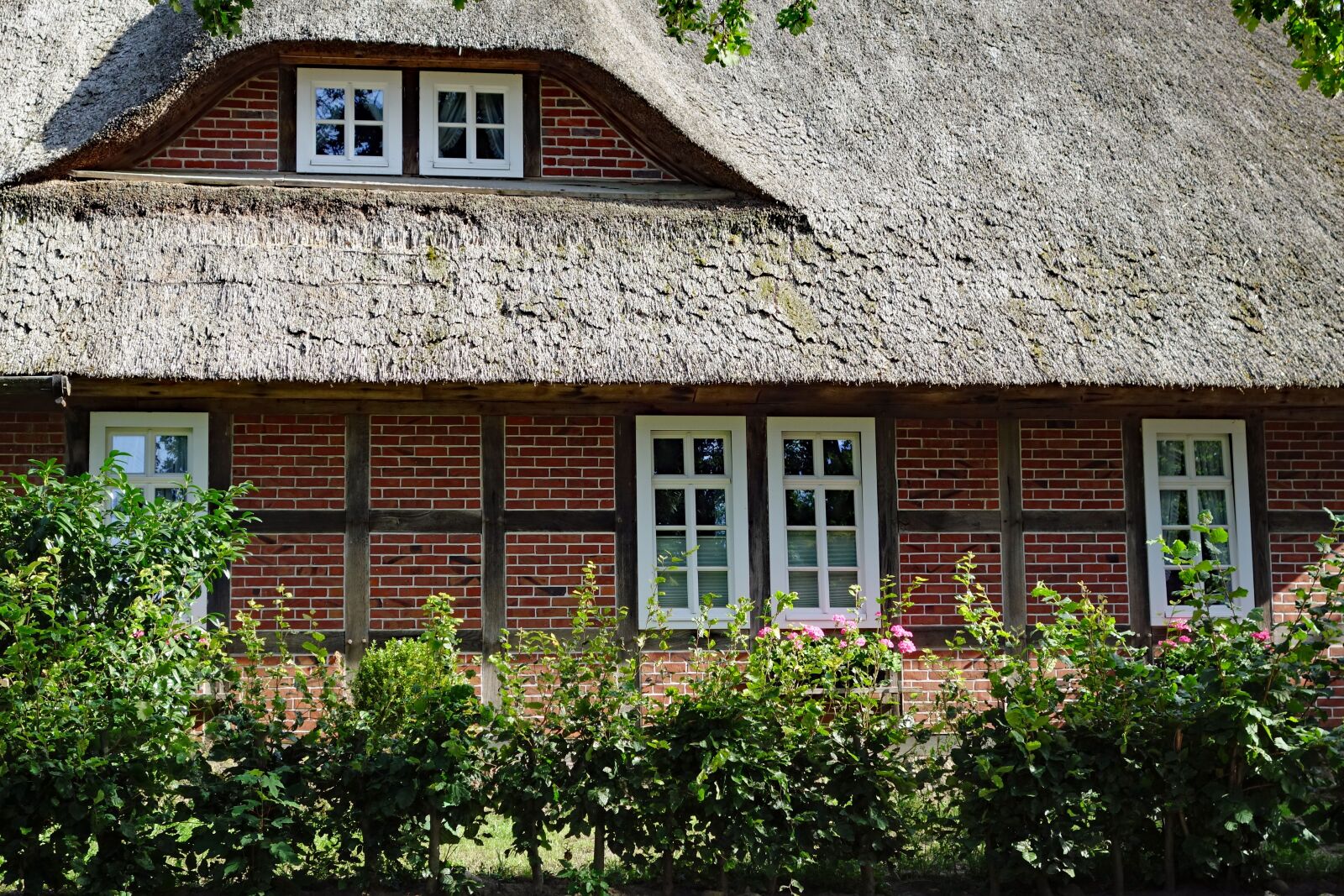 Sony Cyber-shot DSC-RX100 II sample photo. Thatched cottage, l neburg photography