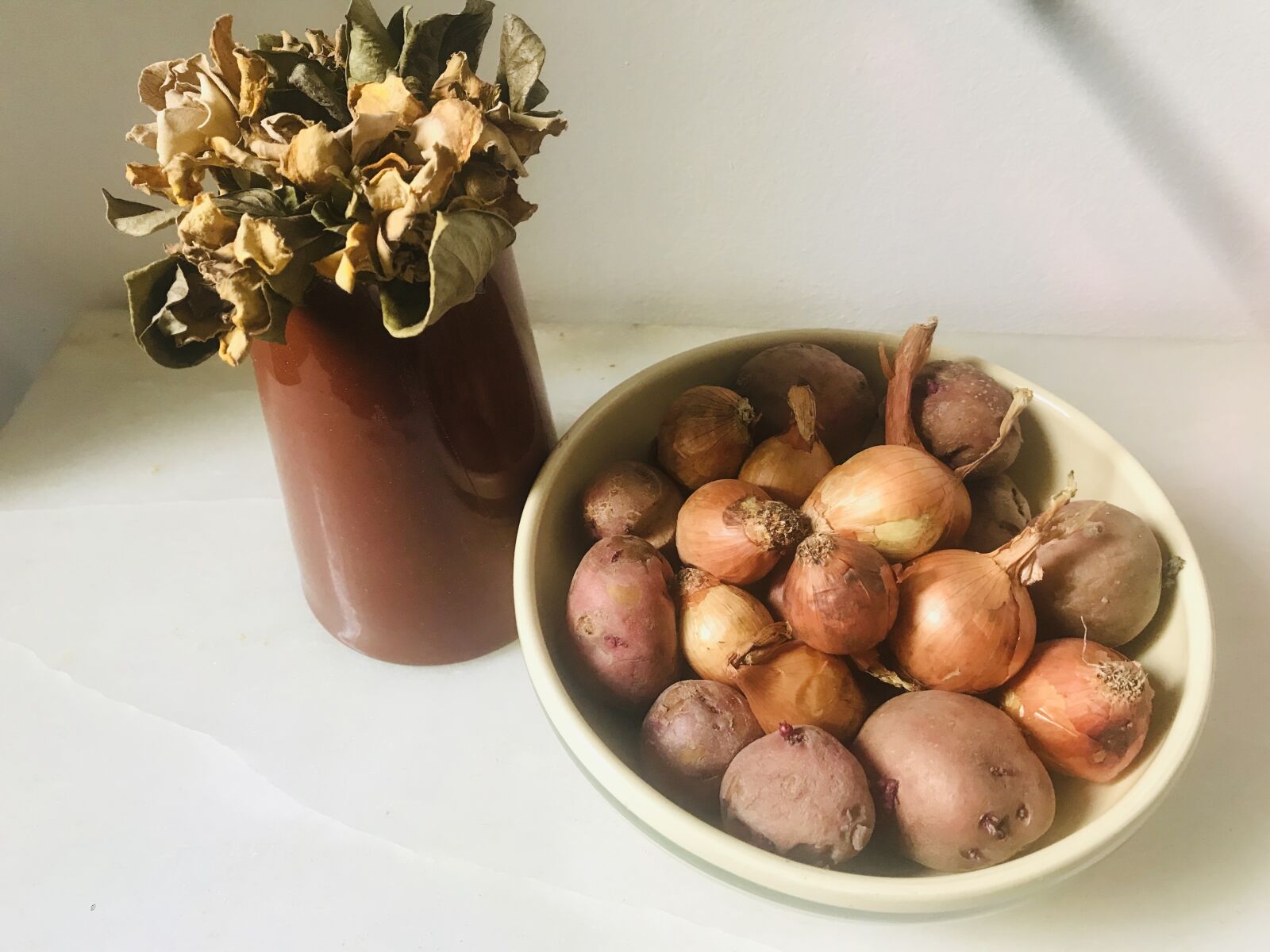 iPhone 7 back camera 3.99mm f/1.8 sample photo. Onion, kitchen, nutrition photography