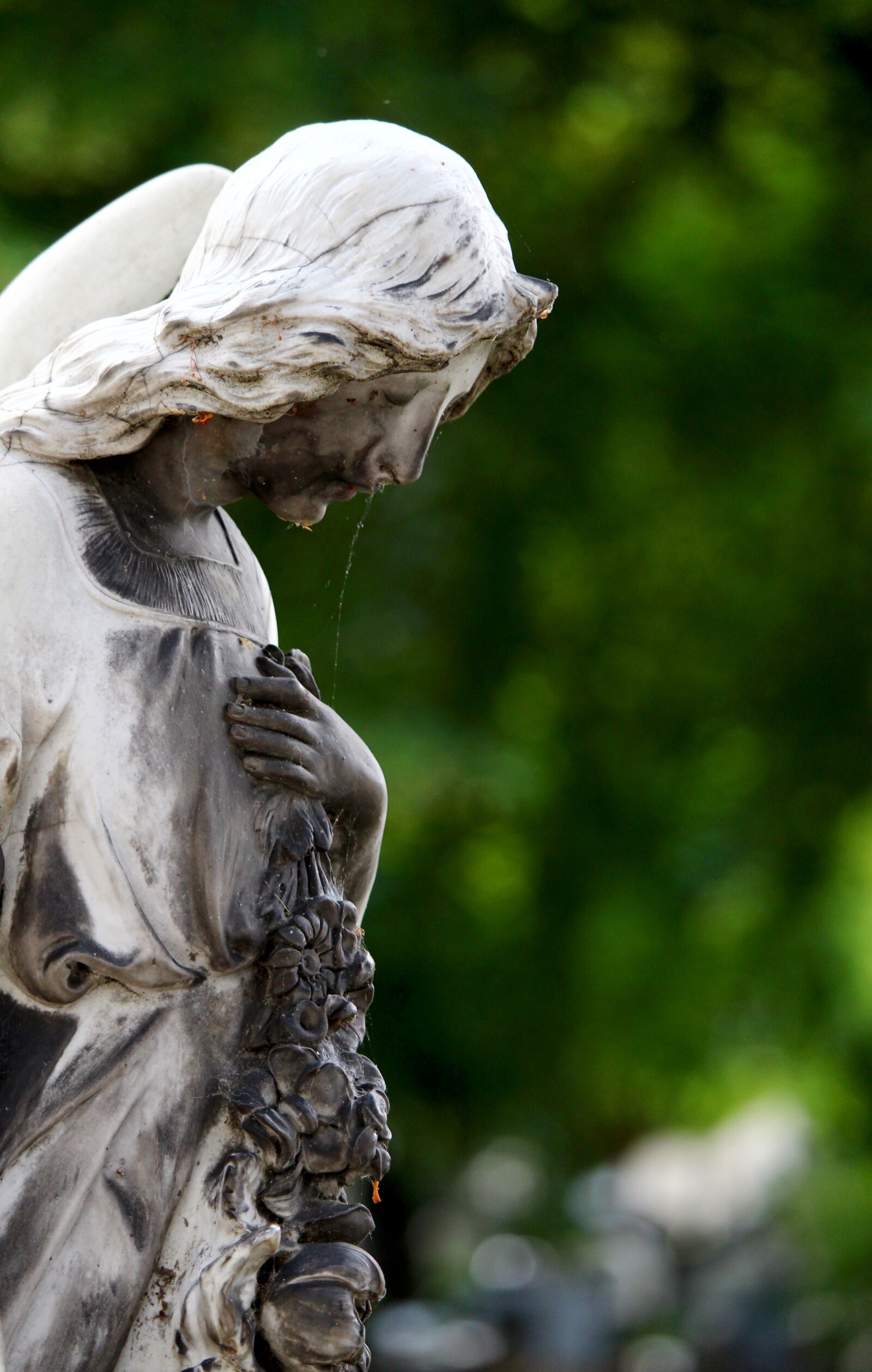 Canon EF-S 55-250mm F4-5.6 IS STM sample photo. Angel, cemetery, statue photography