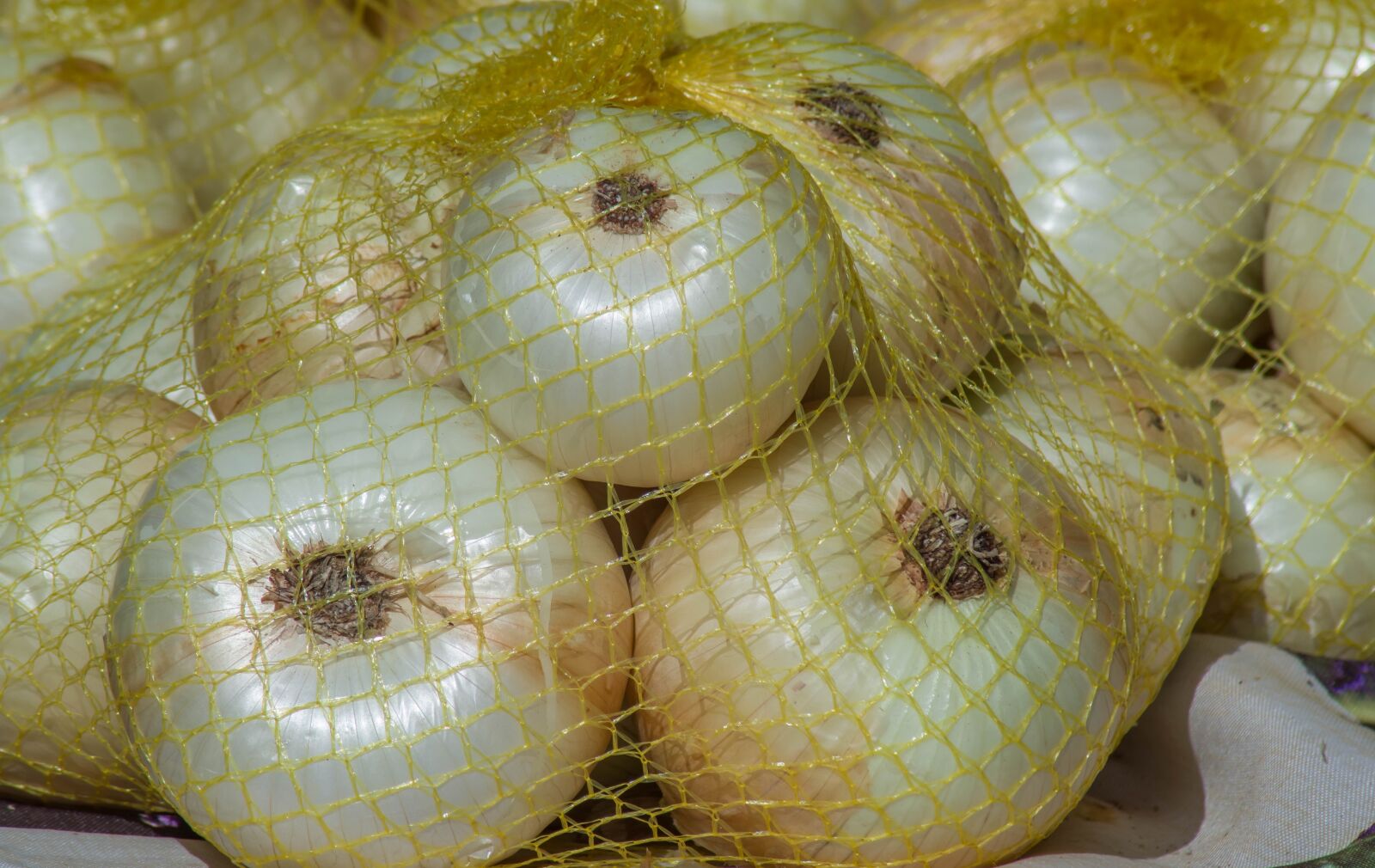 Tamron AF 70-300mm F4-5.6 Di LD Macro sample photo. Onions, net, vegetable photography