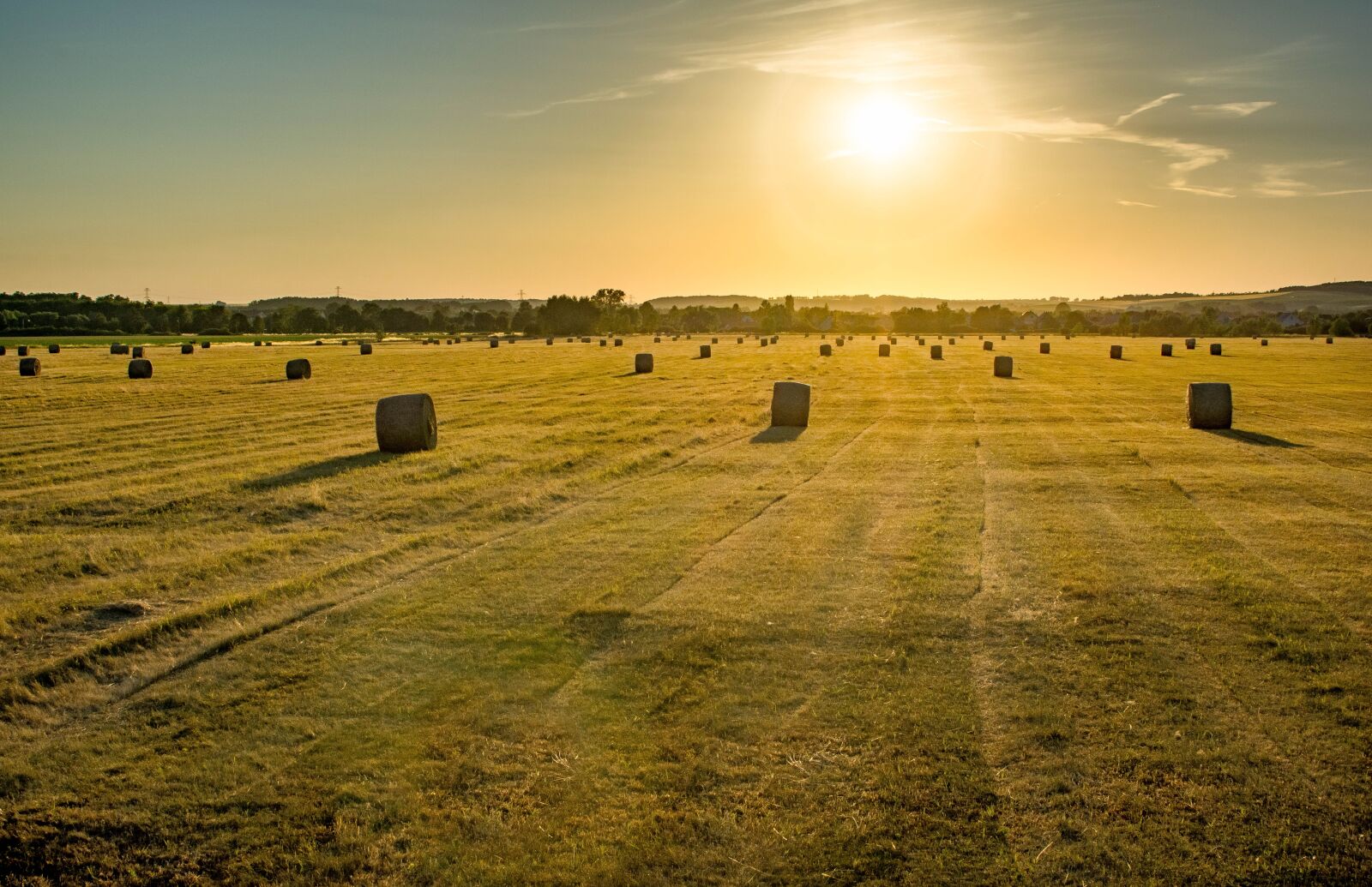 Nikon D5200 sample photo. Field, farm, landscape photography