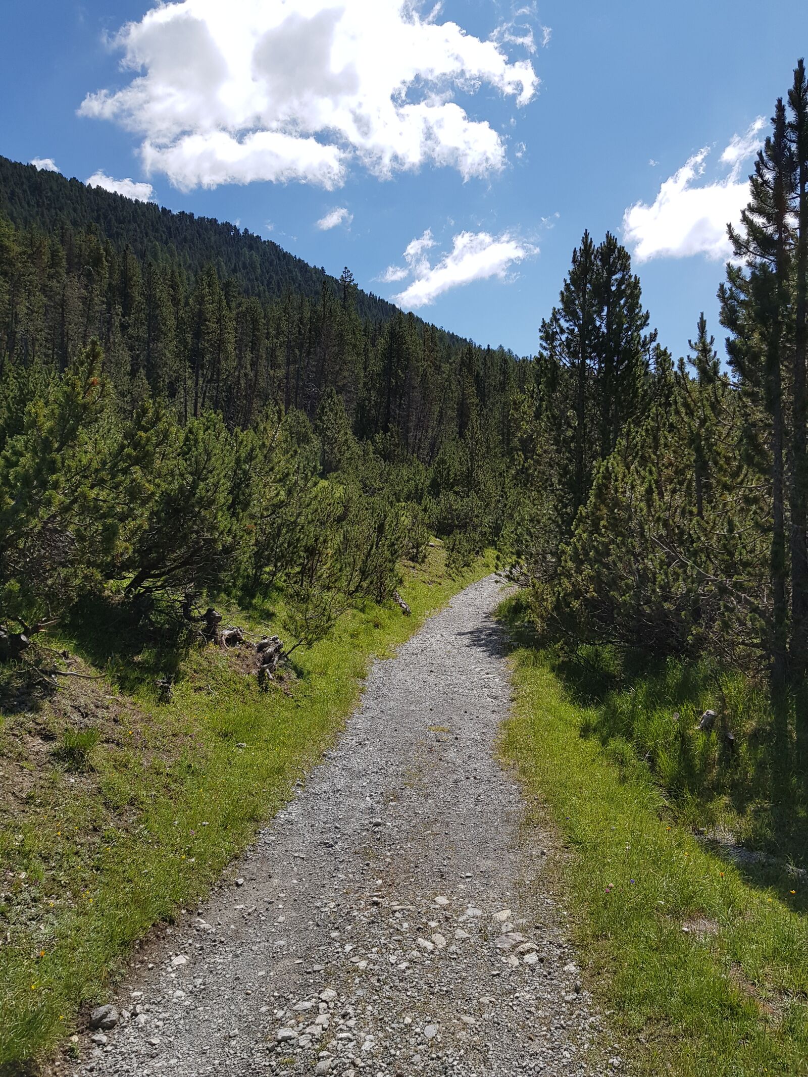 Samsung Galaxy S8 sample photo. Engadin, national park, tourism photography