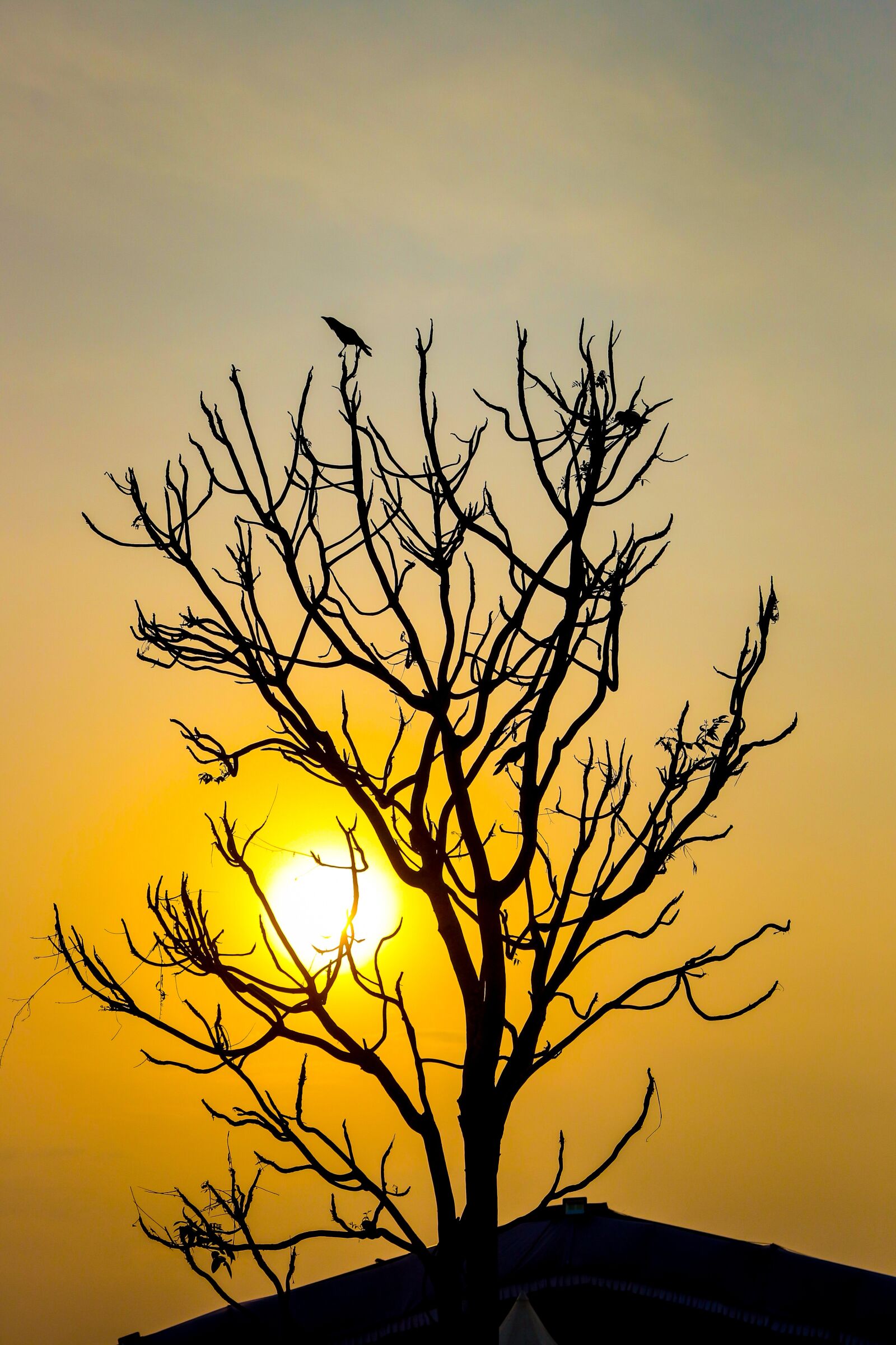 Canon EOS 700D (EOS Rebel T5i / EOS Kiss X7i) sample photo. Sky, seascape, skyline photography