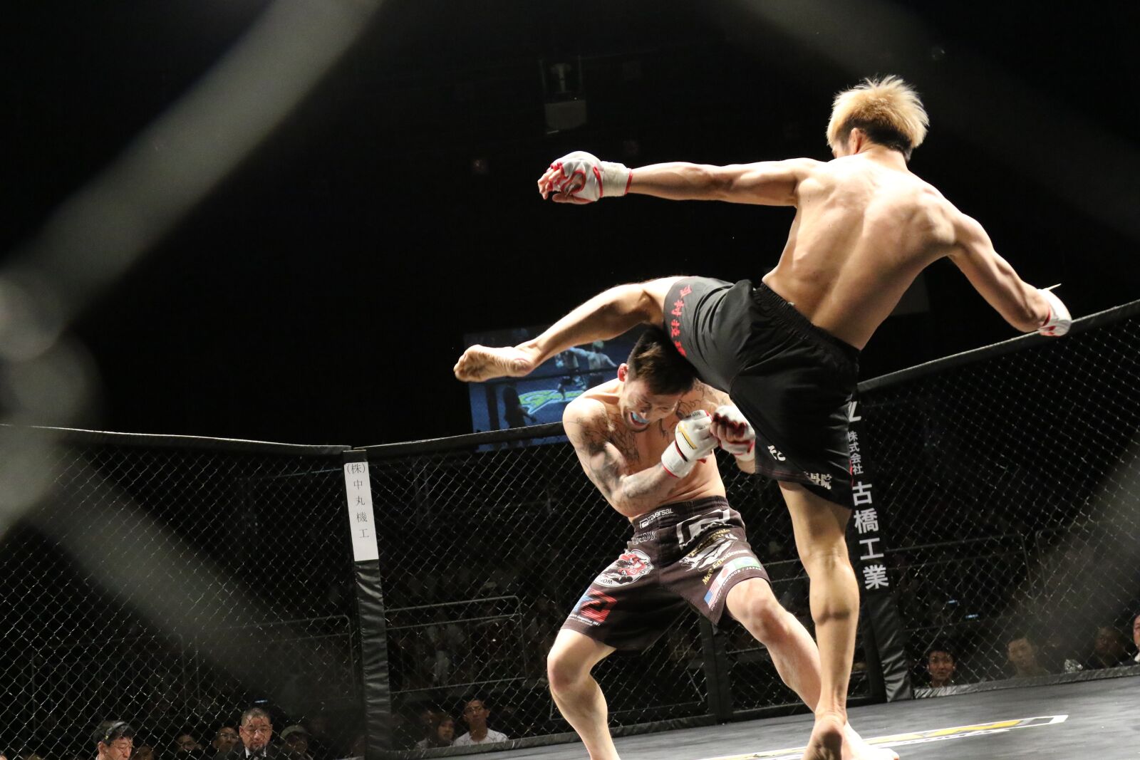 Canon EOS 7D Mark II sample photo. Mixed martial arts, sport photography