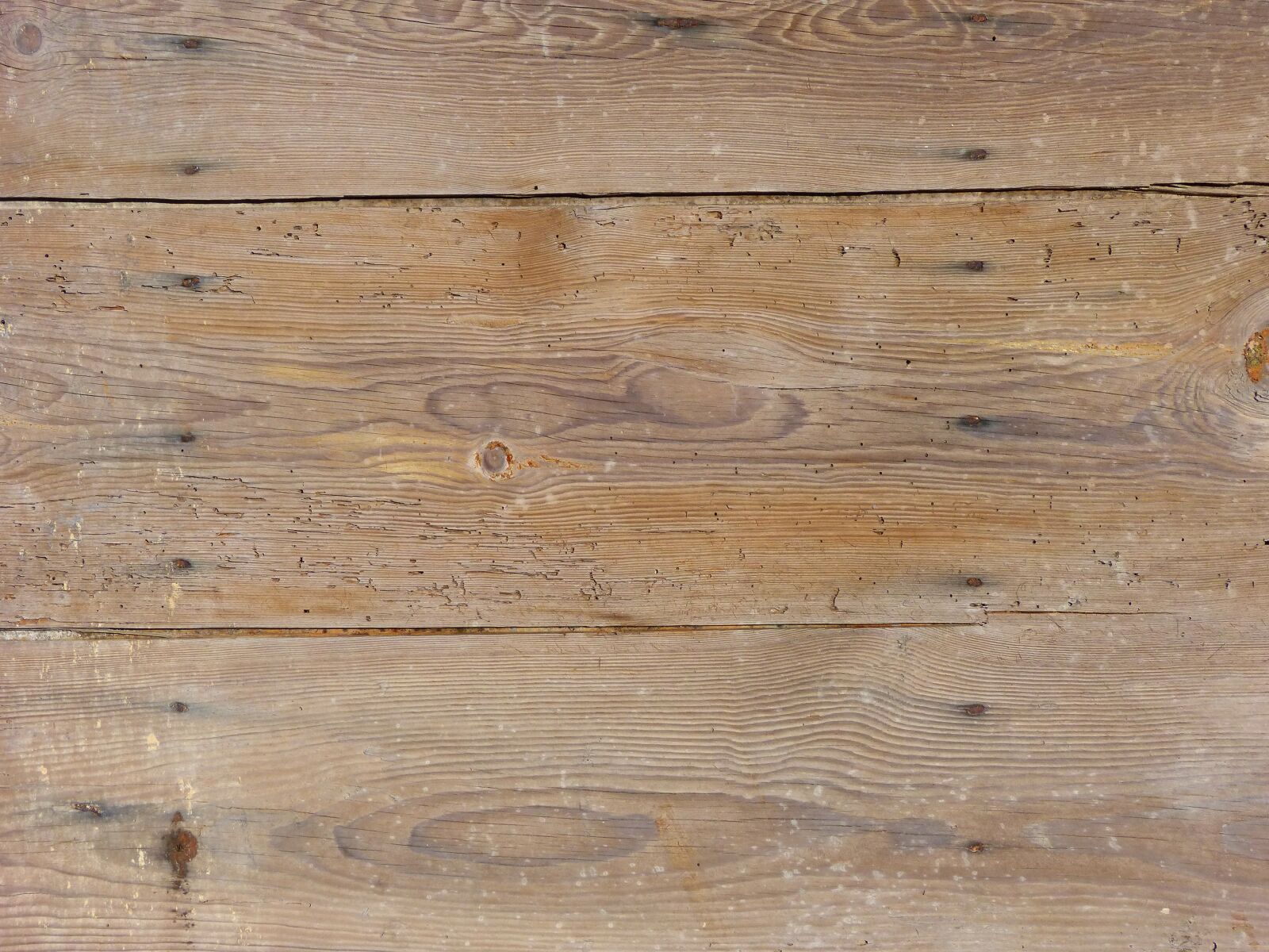 Panasonic DMC-FZ62 sample photo. Background, wood, texture photography
